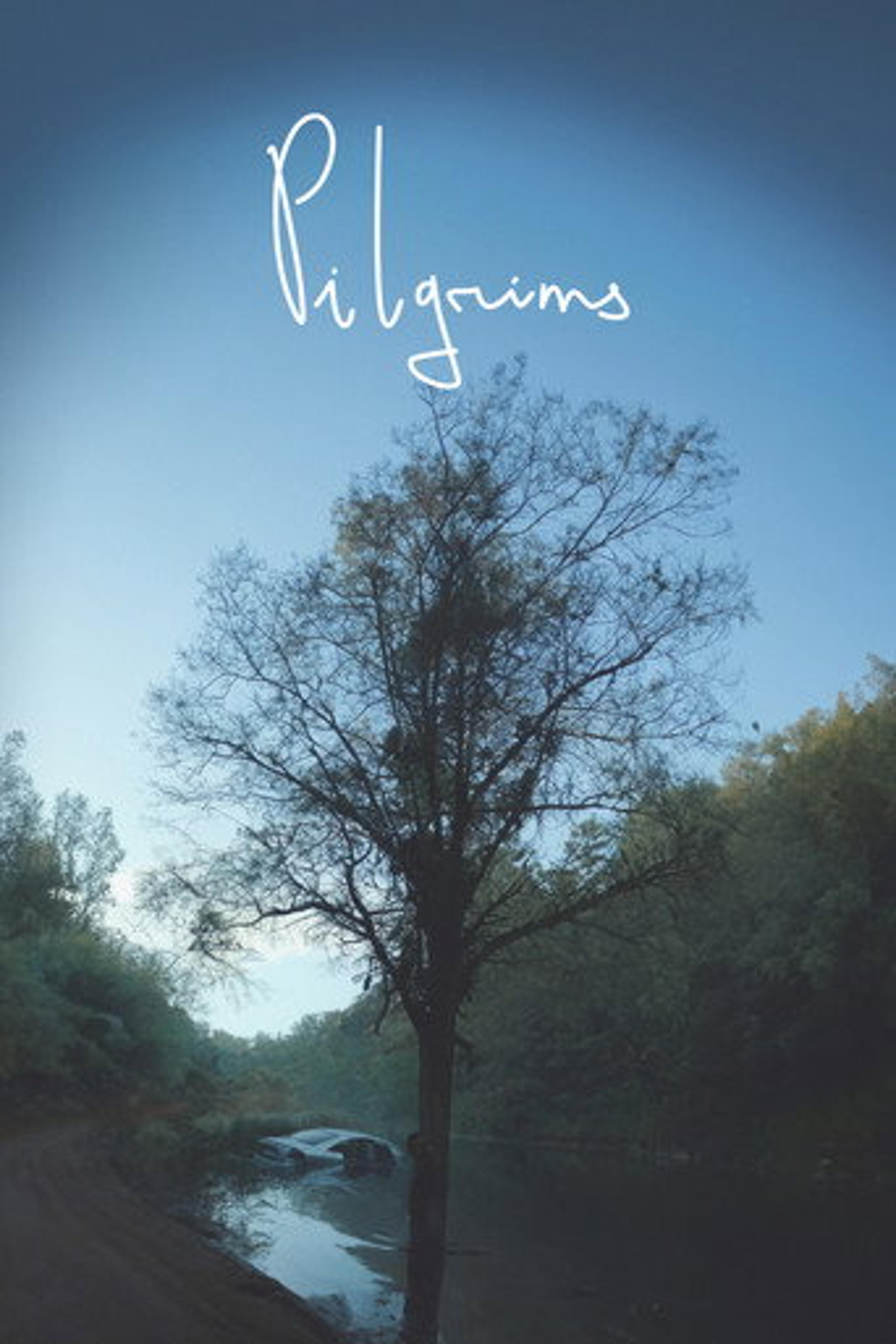 Poster film Pilgrims