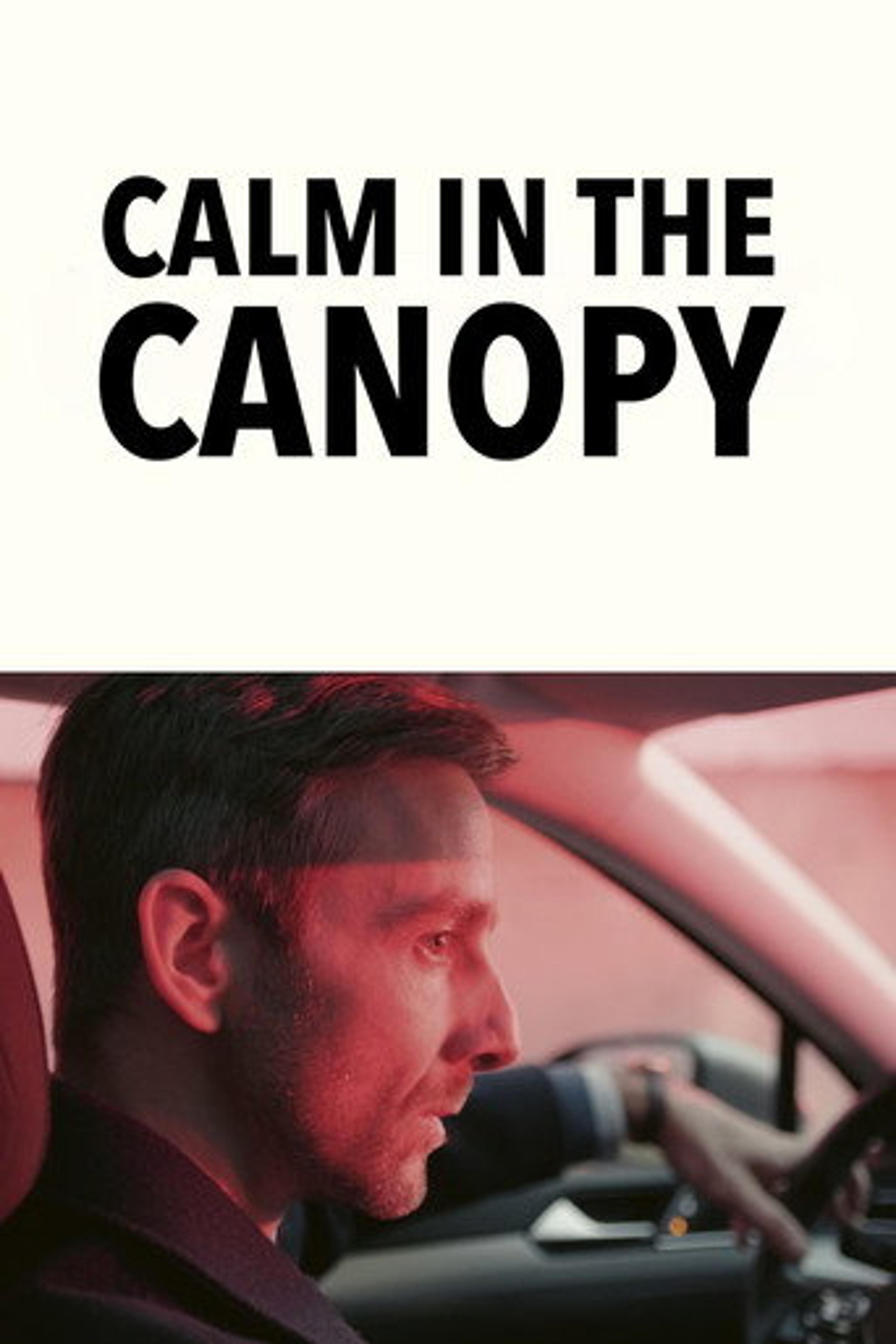 Poster film Calm in the Canopy