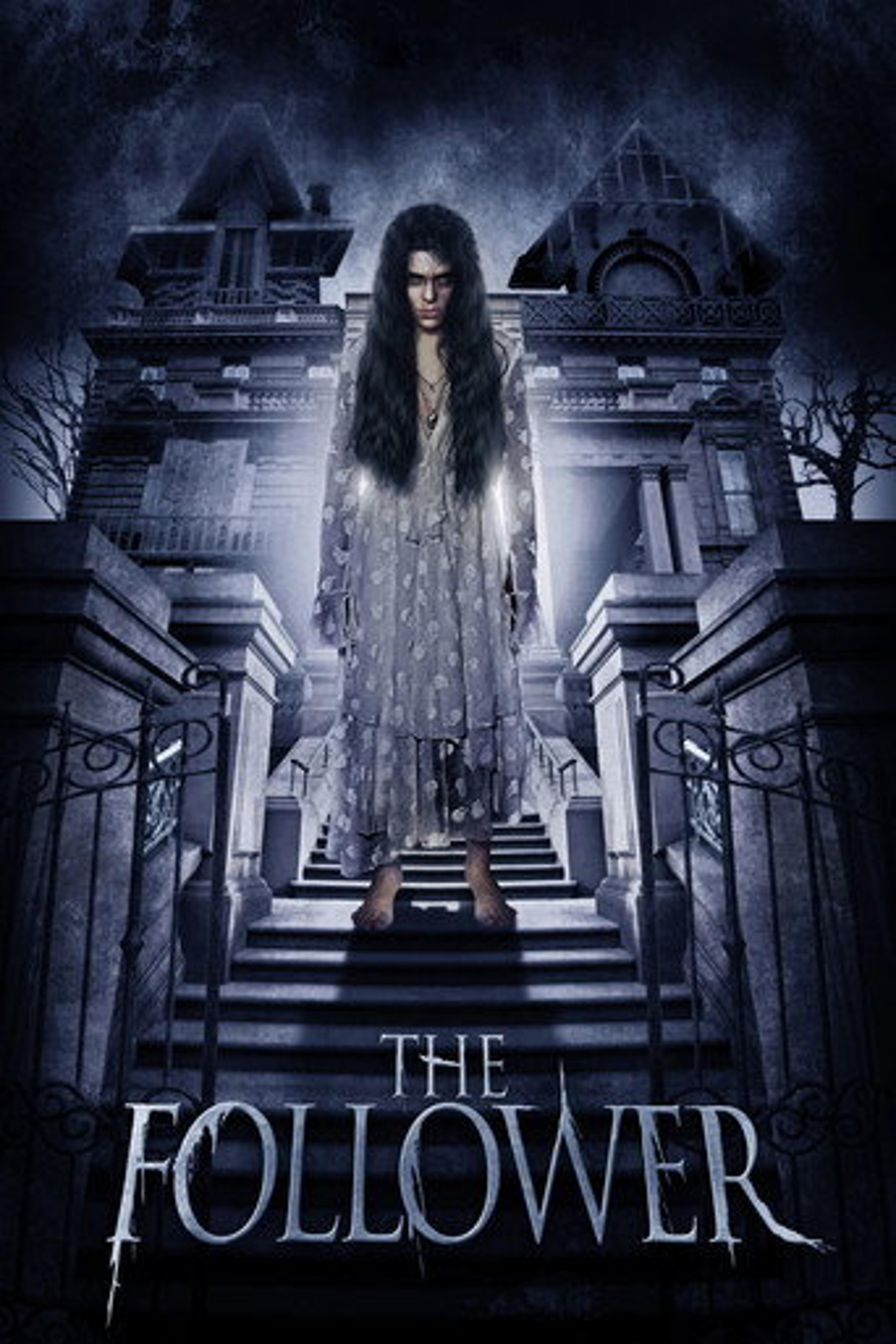 Poster film The Follower