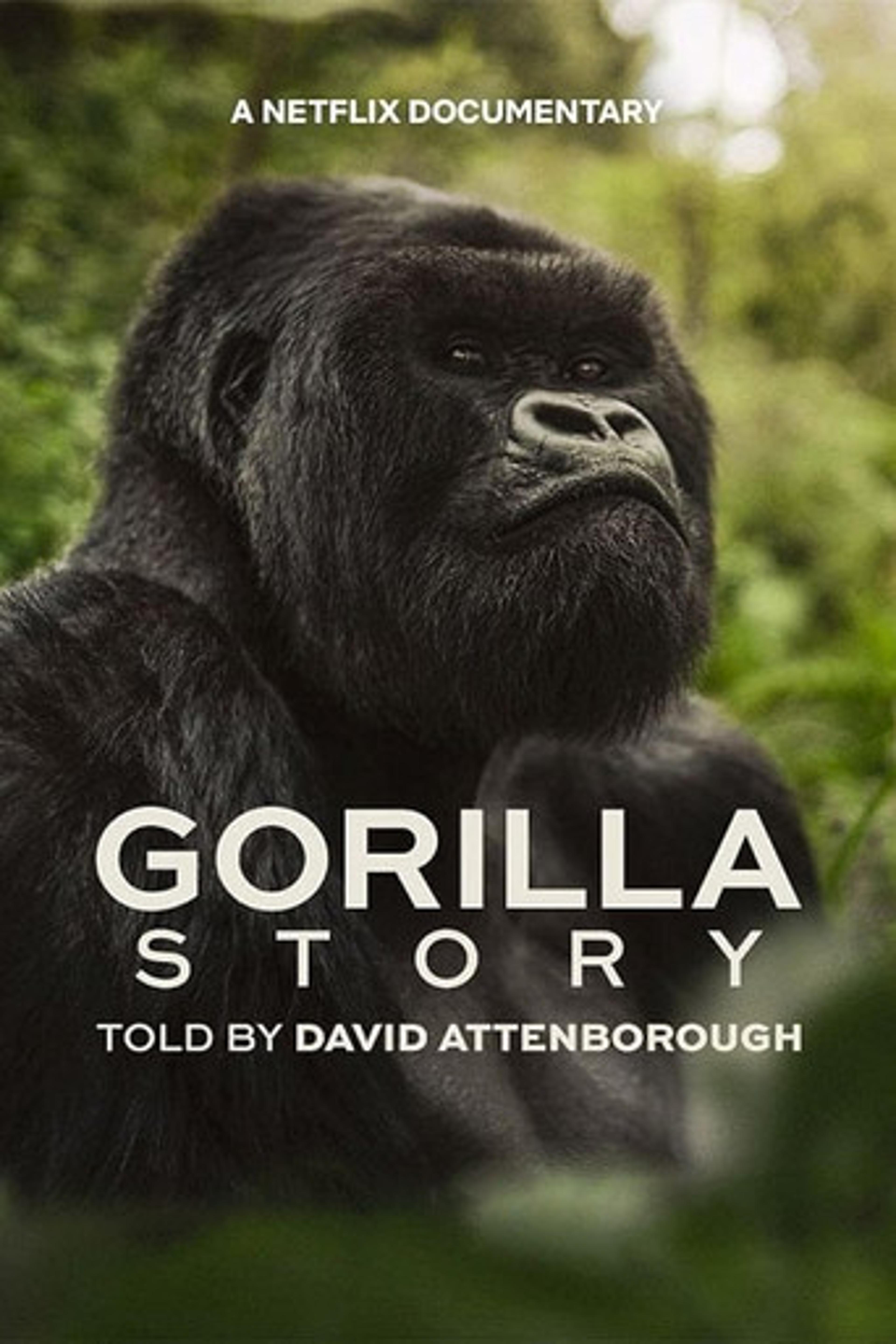 Poster film A Gorilla Story: Told by David Attenborough