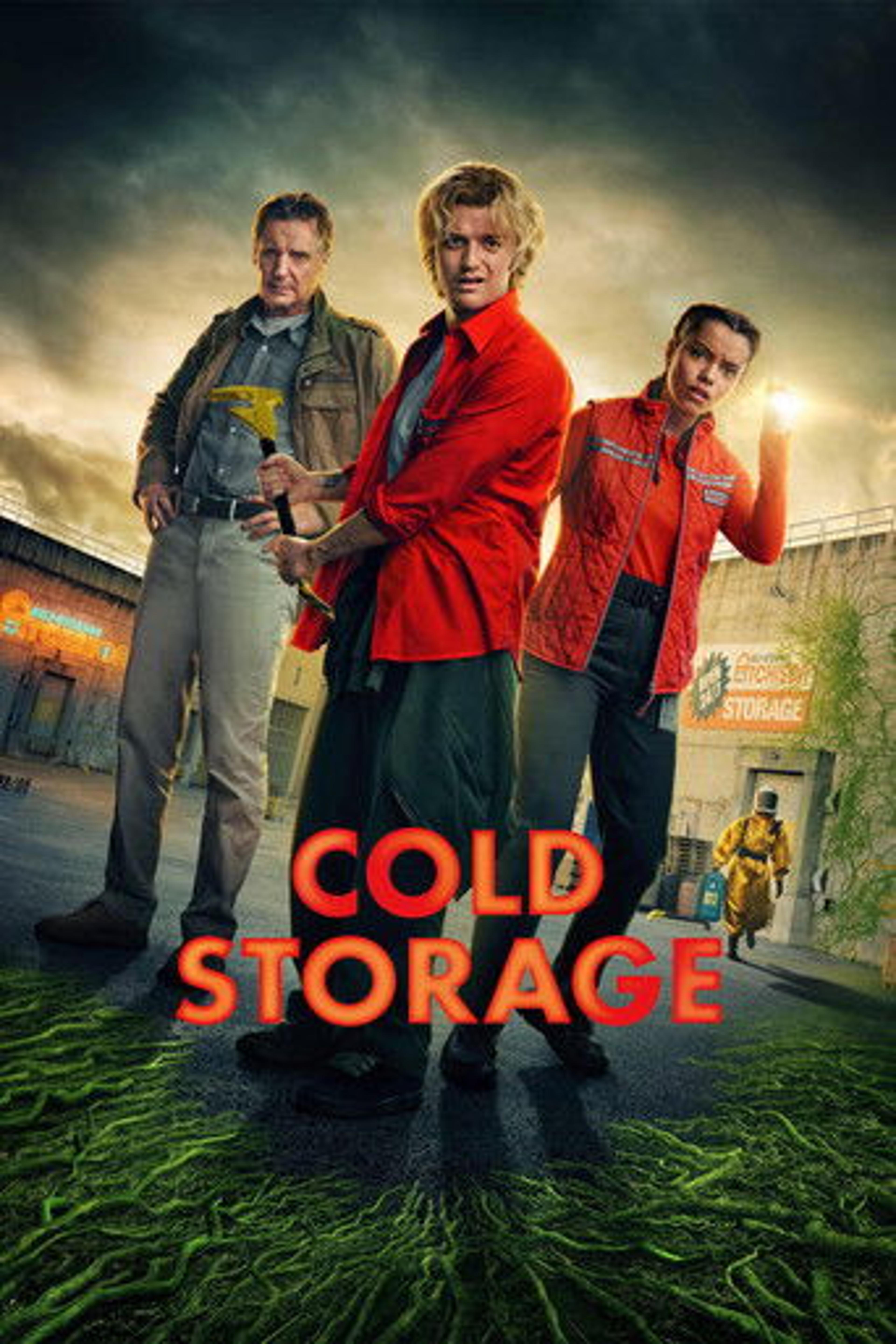 Poster film Cold Storage