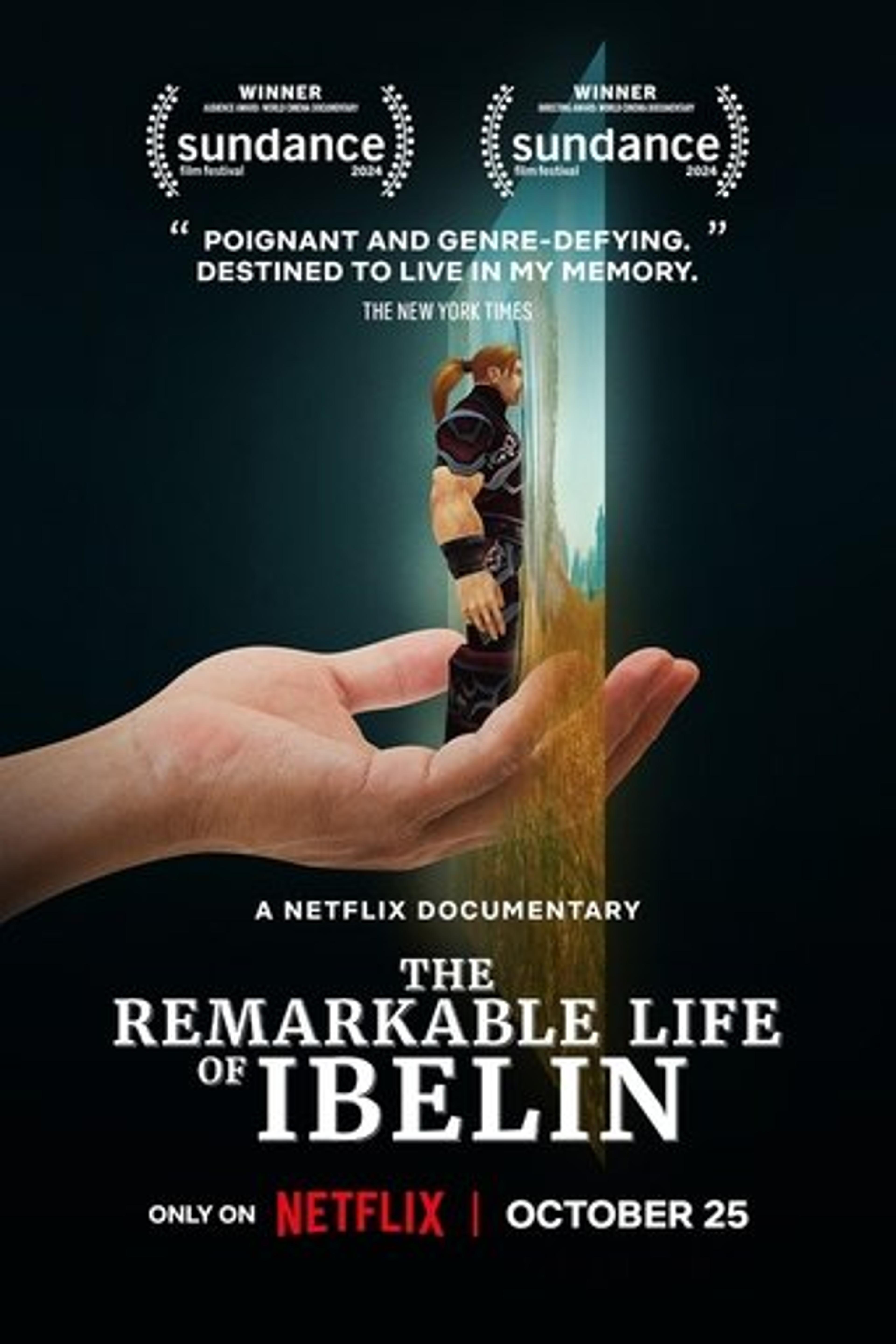 Poster film The Remarkable Life of Ibelin