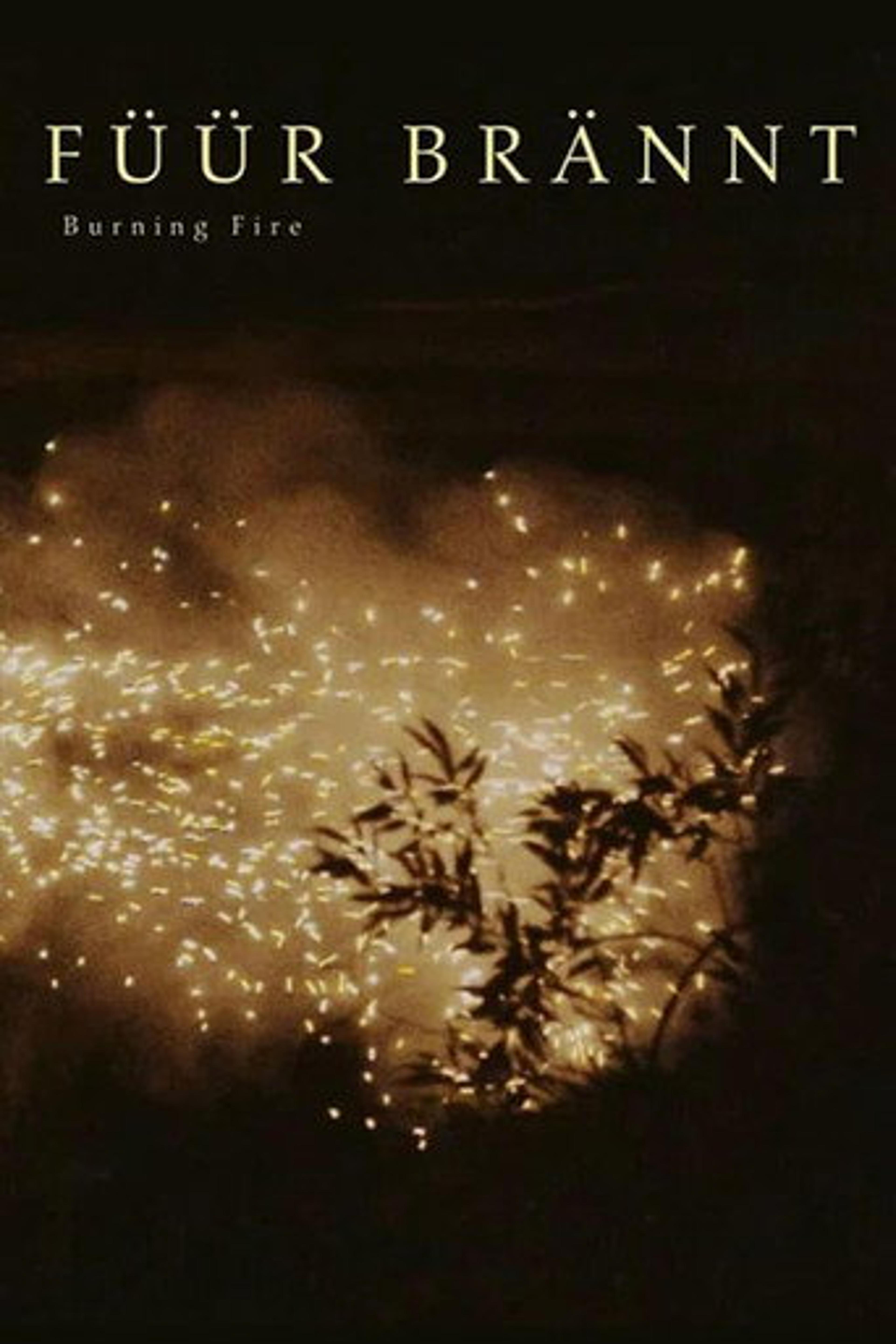 Poster film Burning Fire