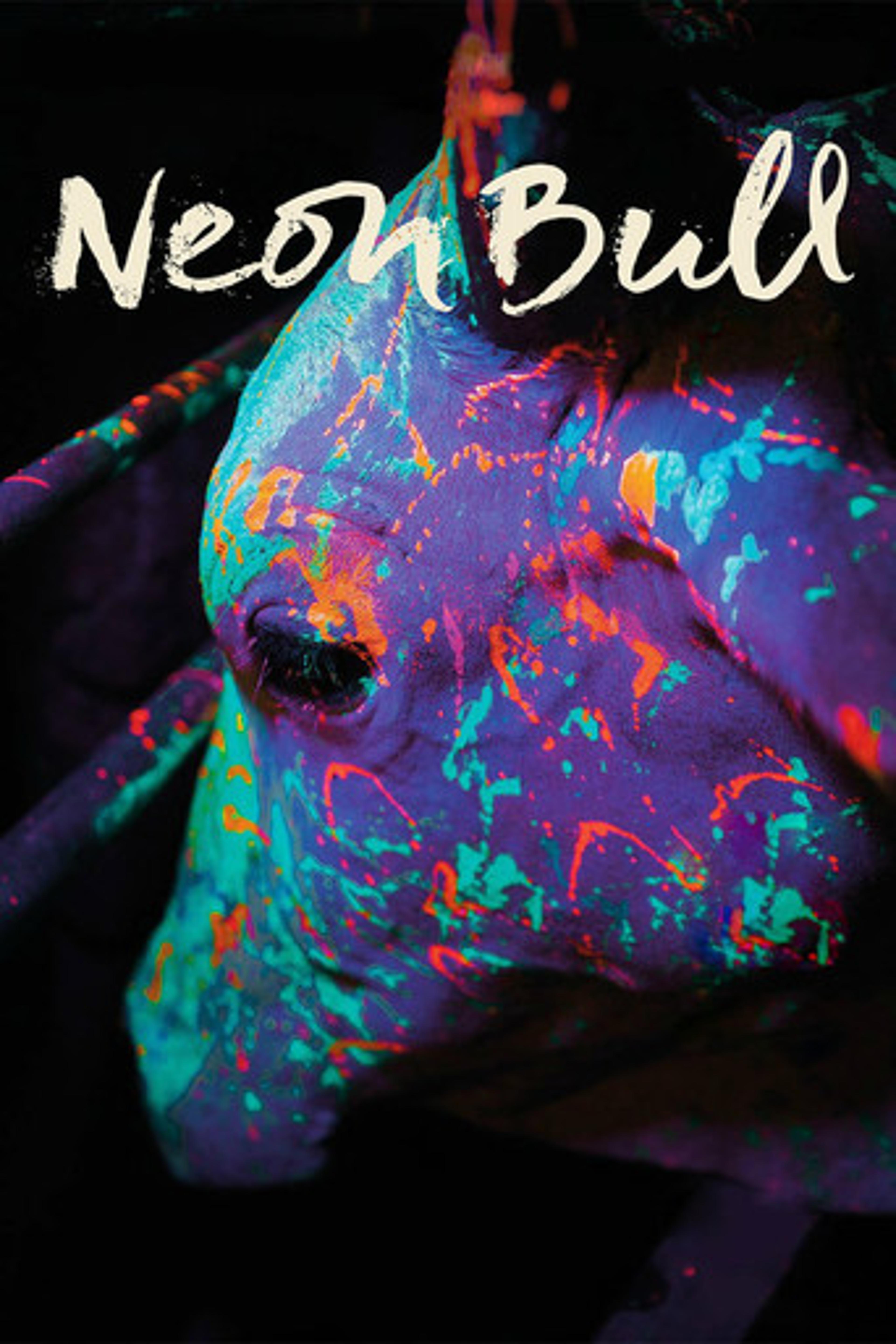 Poster film Neon Bull