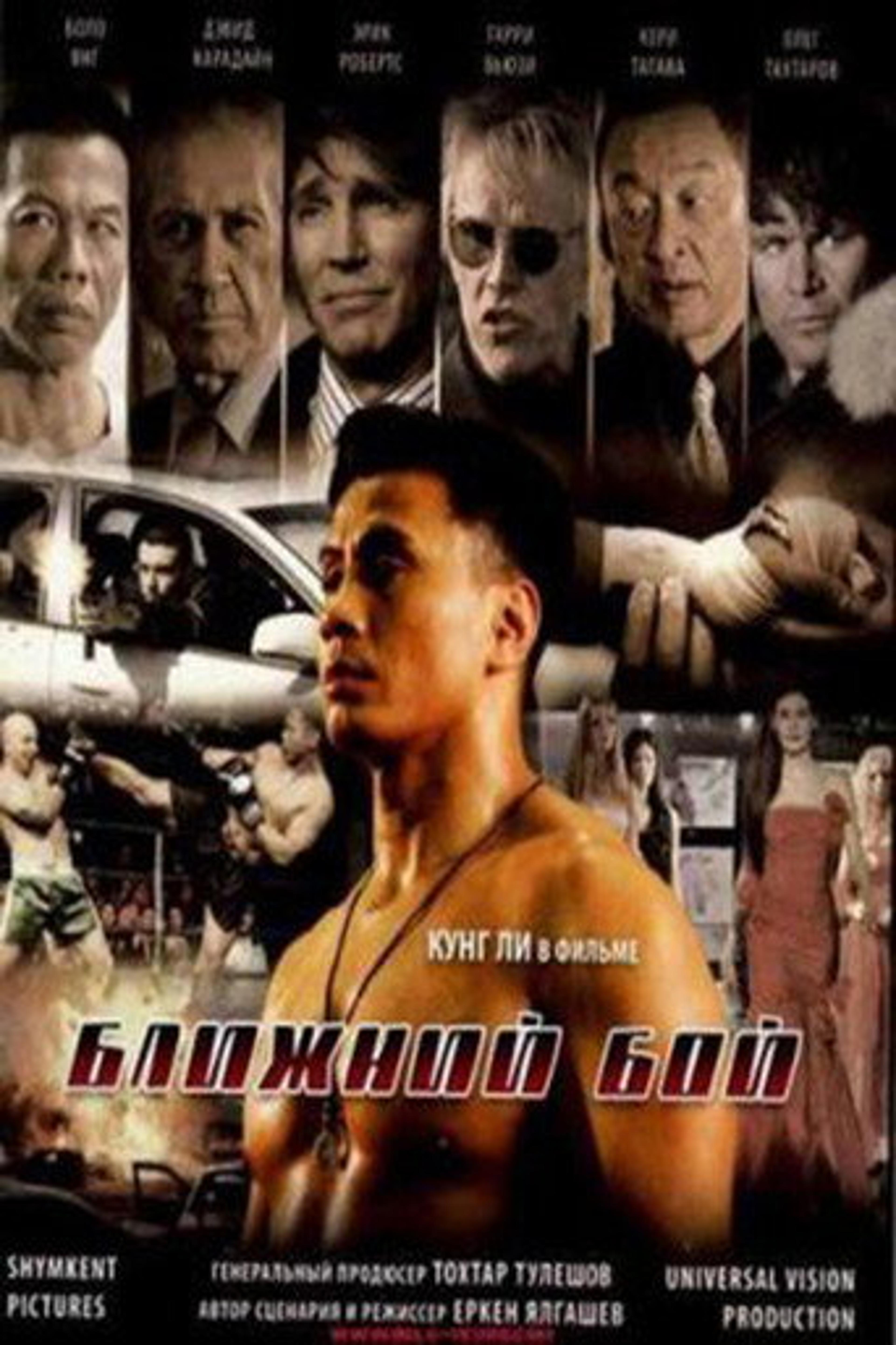 Poster film The Ultimate Fighter