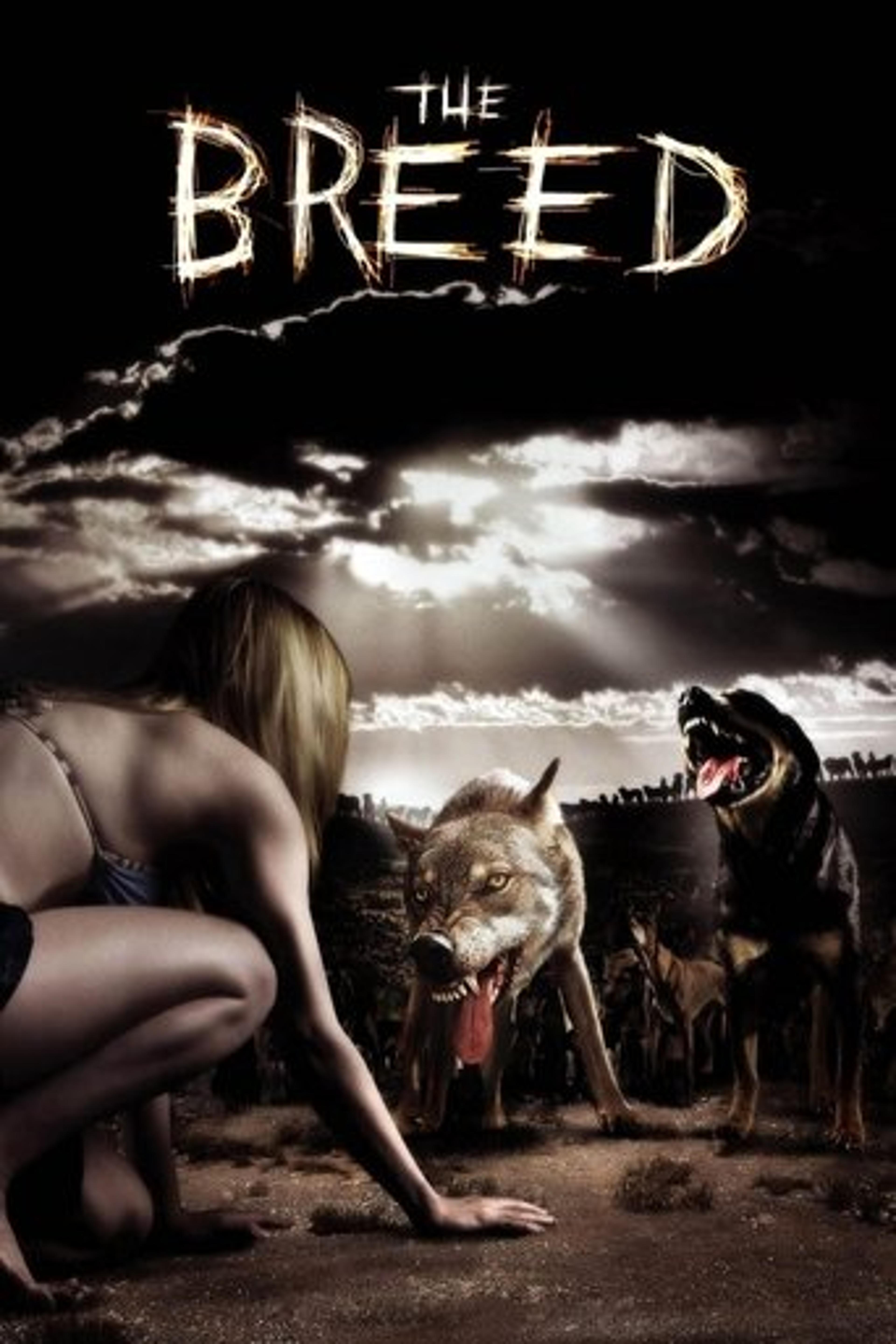 Poster film The Breed