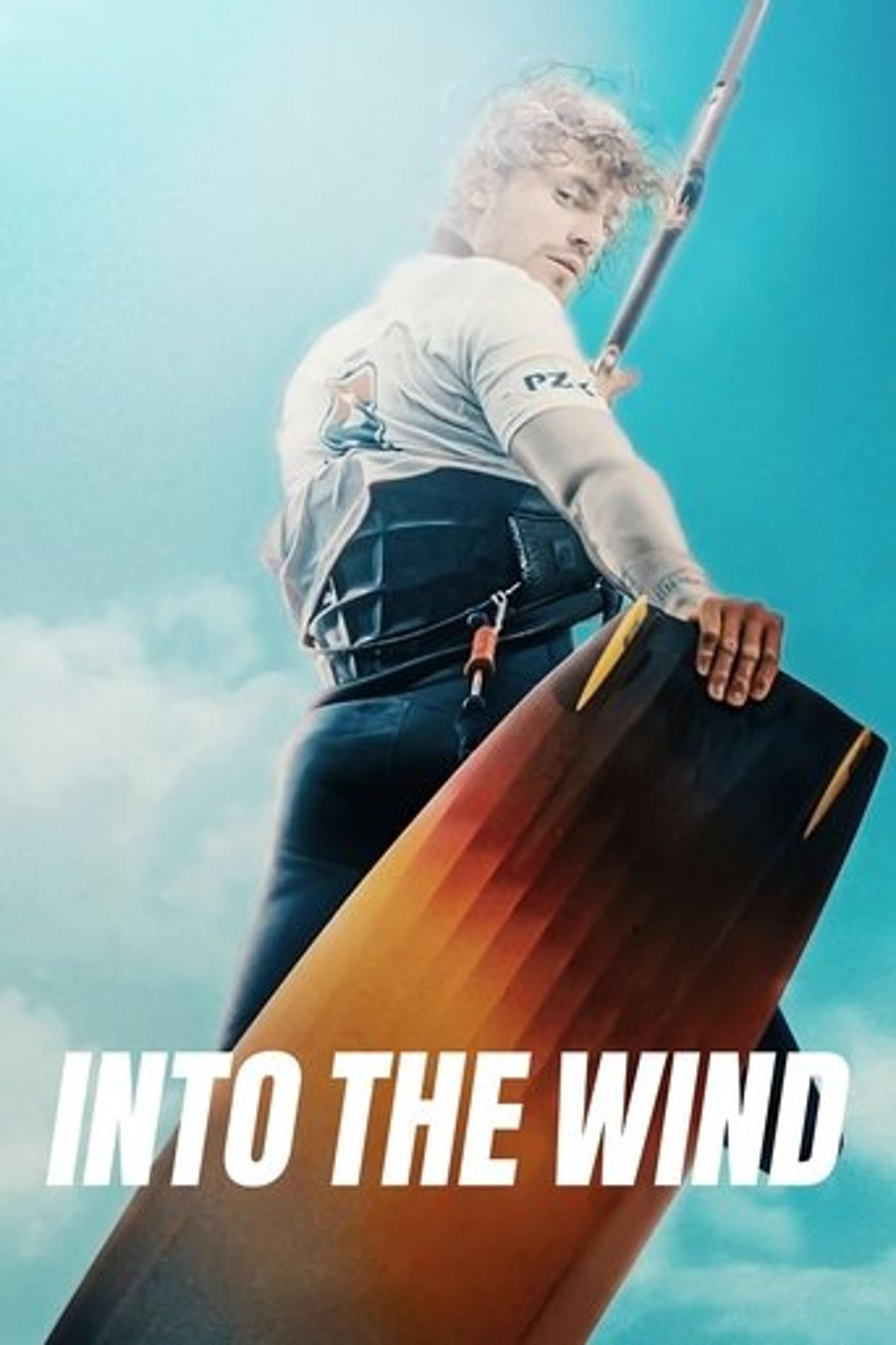 Poster film Into the Wind