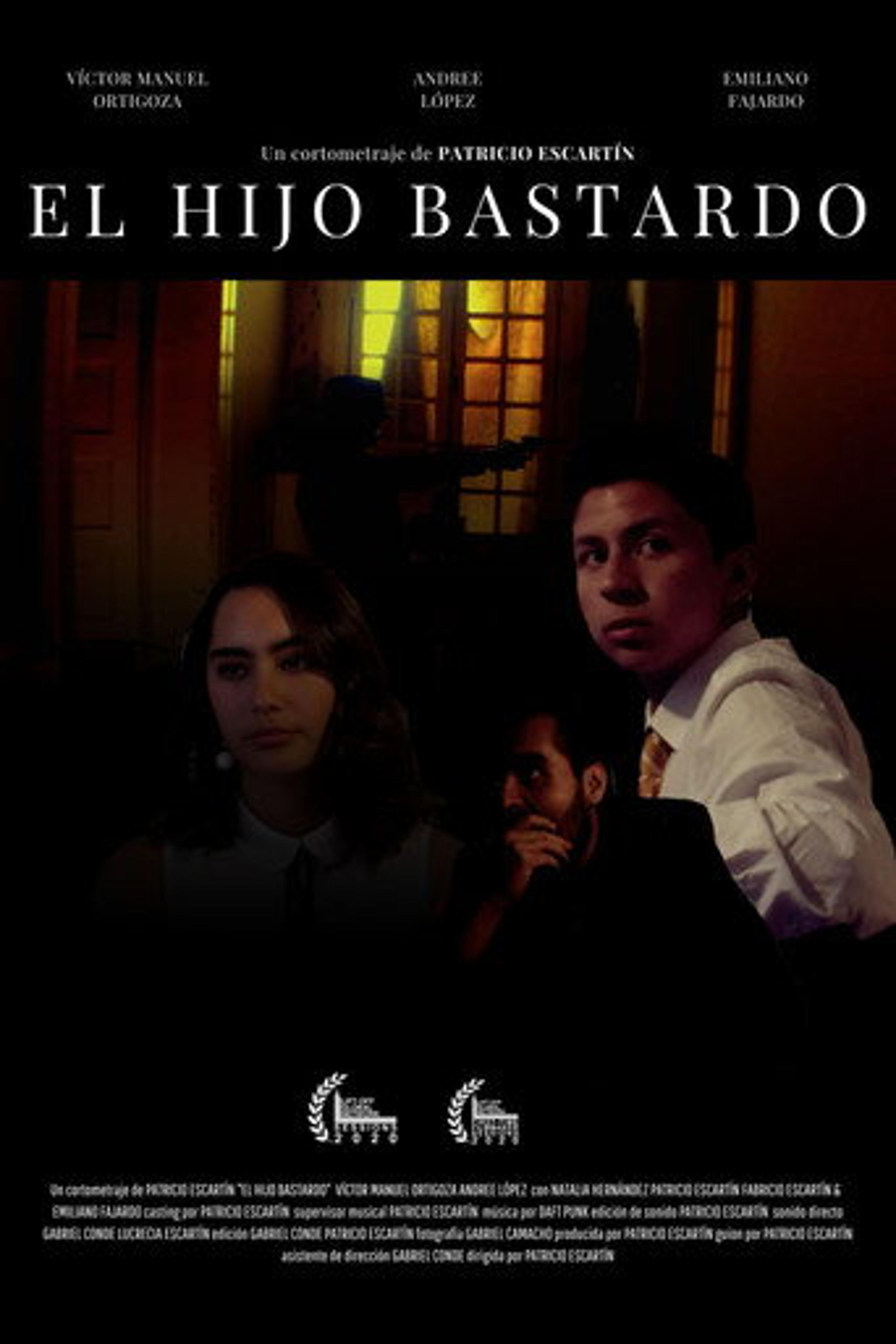 Poster film The Bastard Son