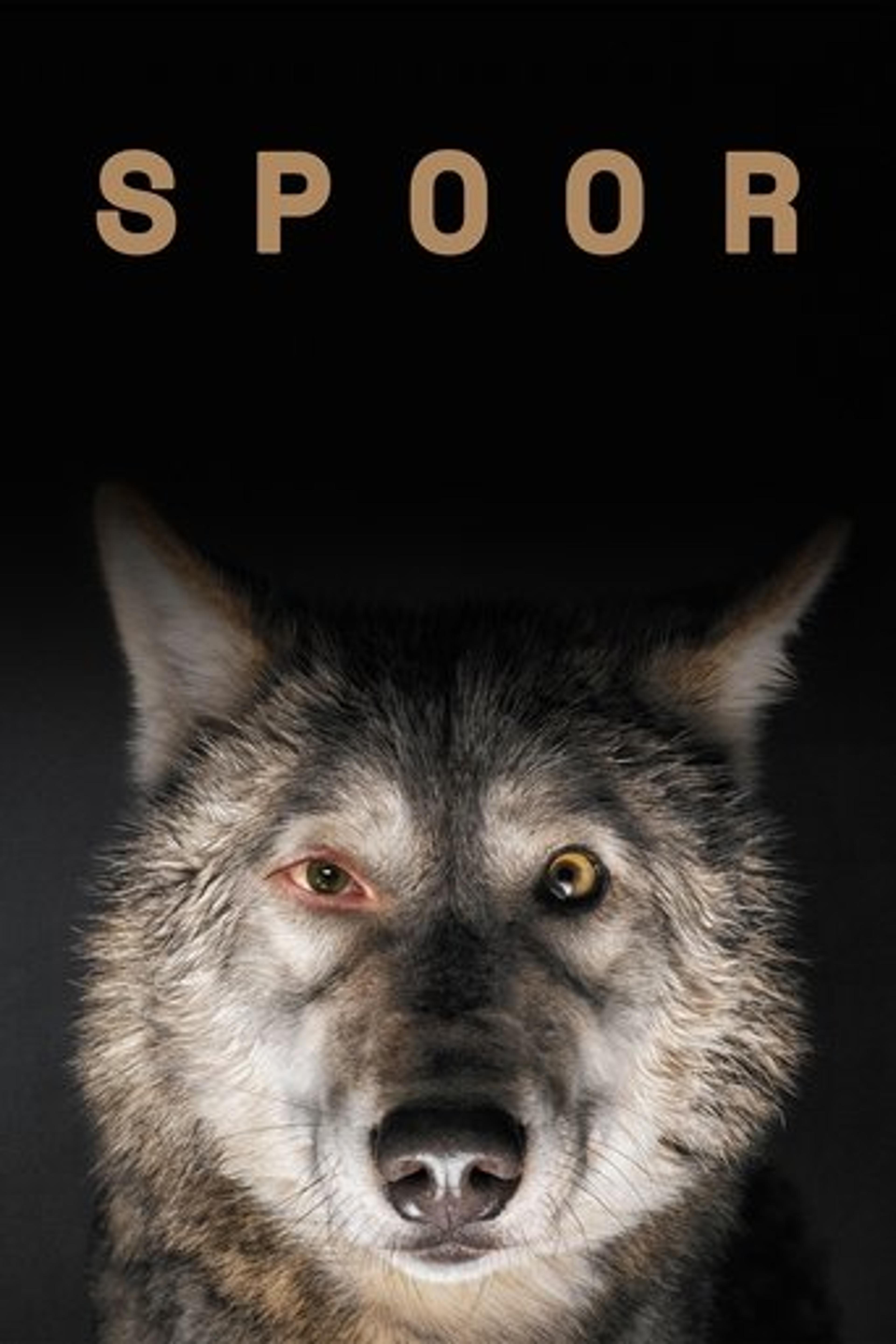 Poster film Spoor