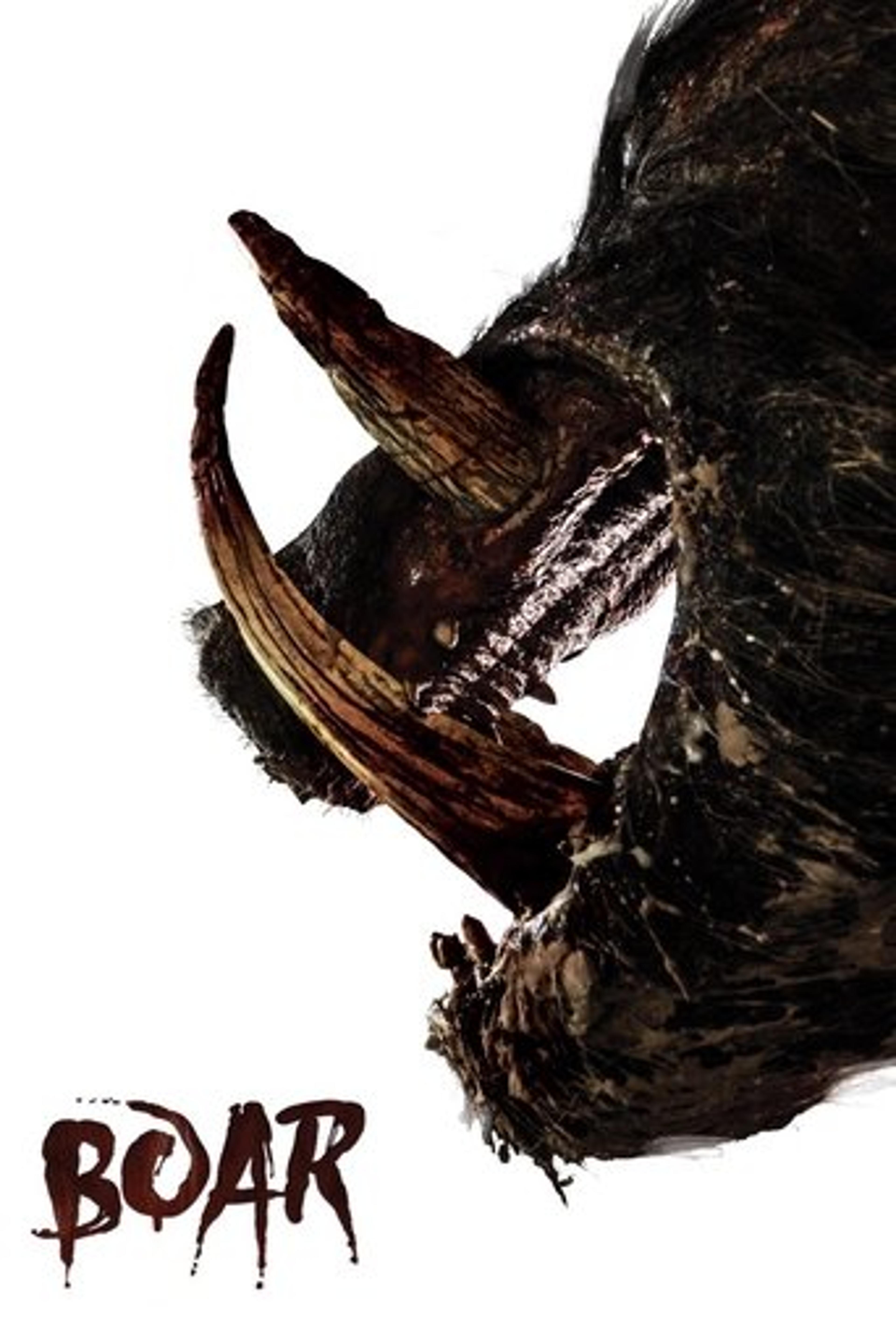 Poster film Boar