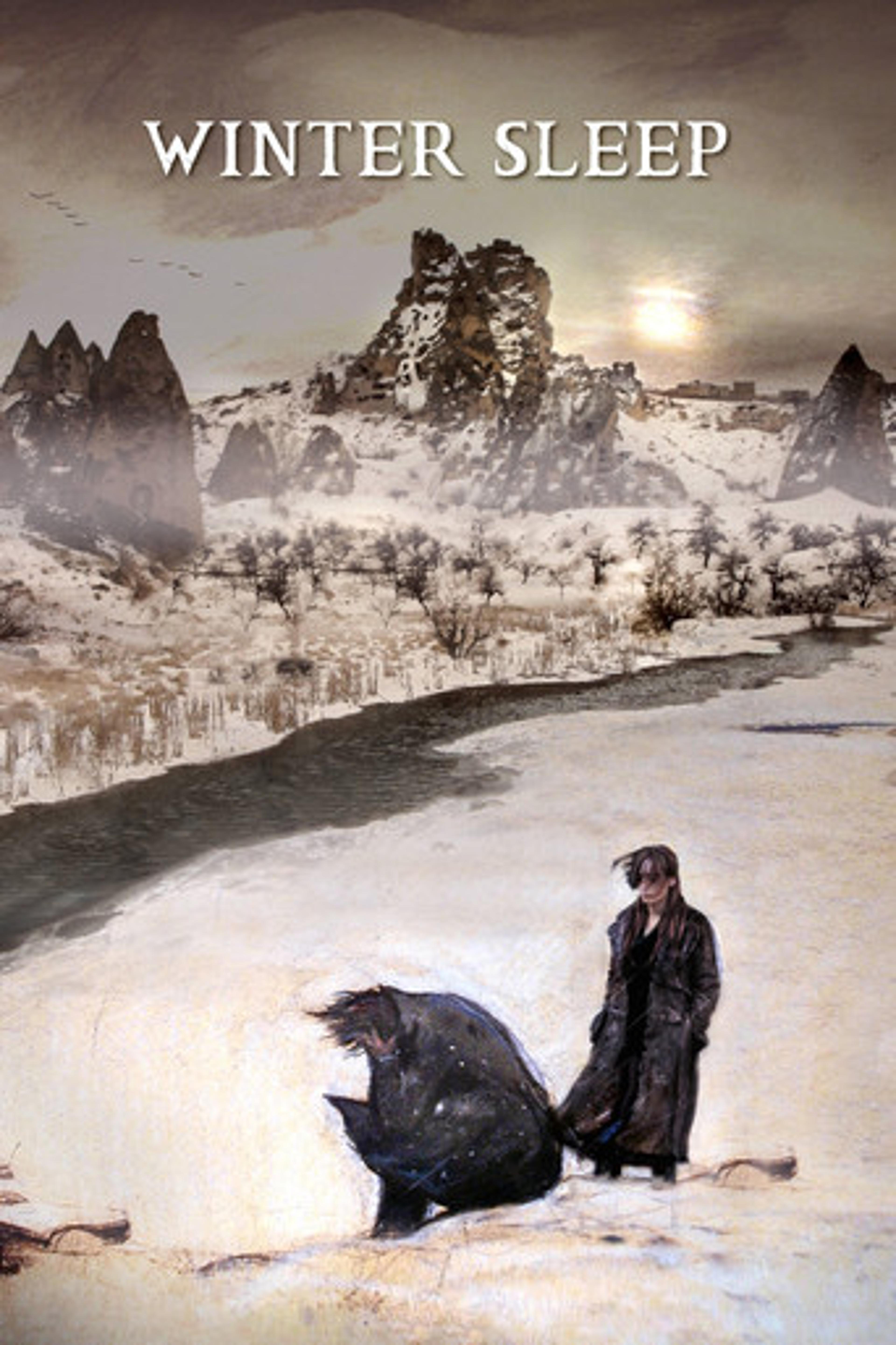 Poster film Winter Sleep
