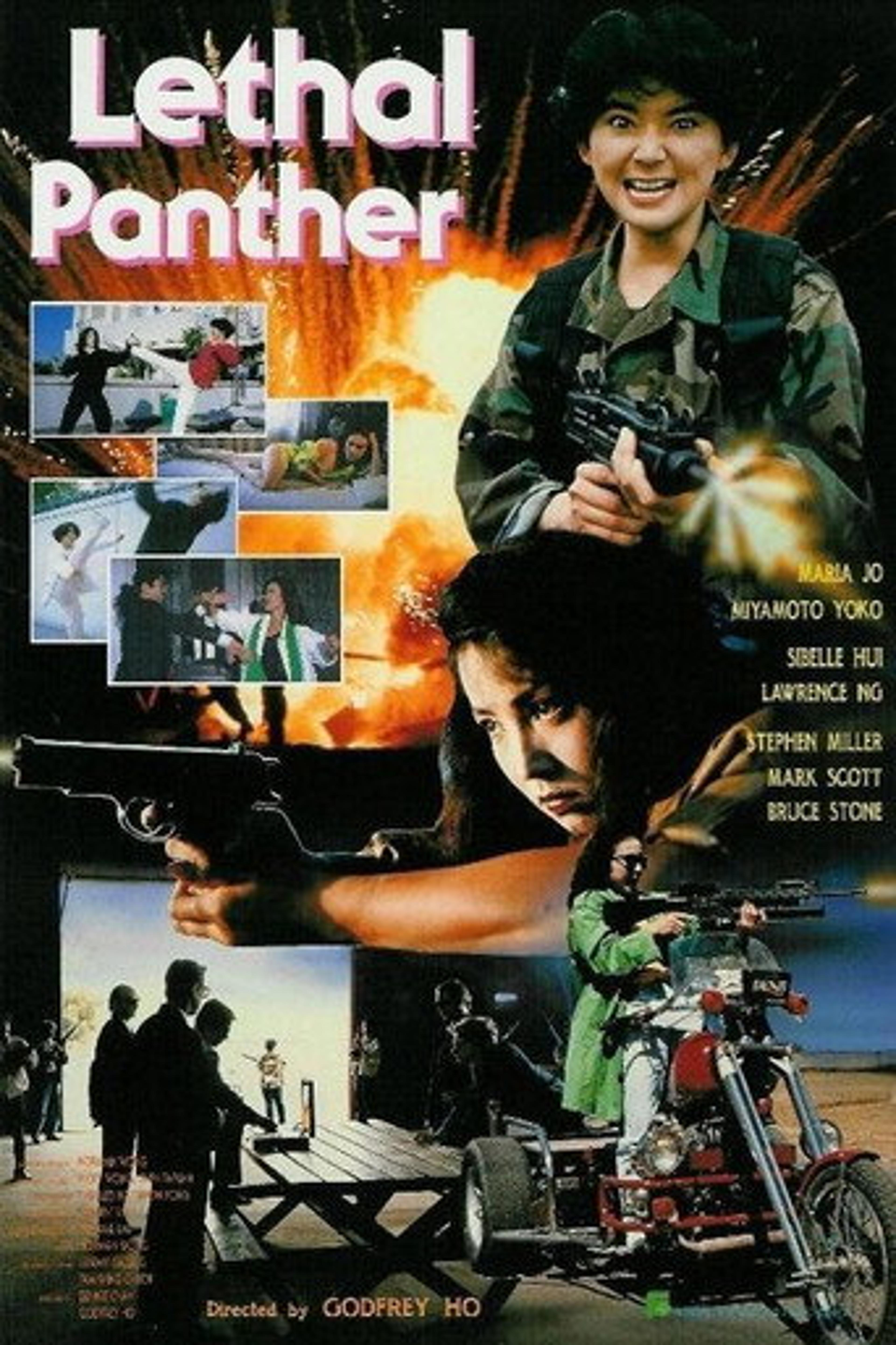 Poster film Lethal Panther