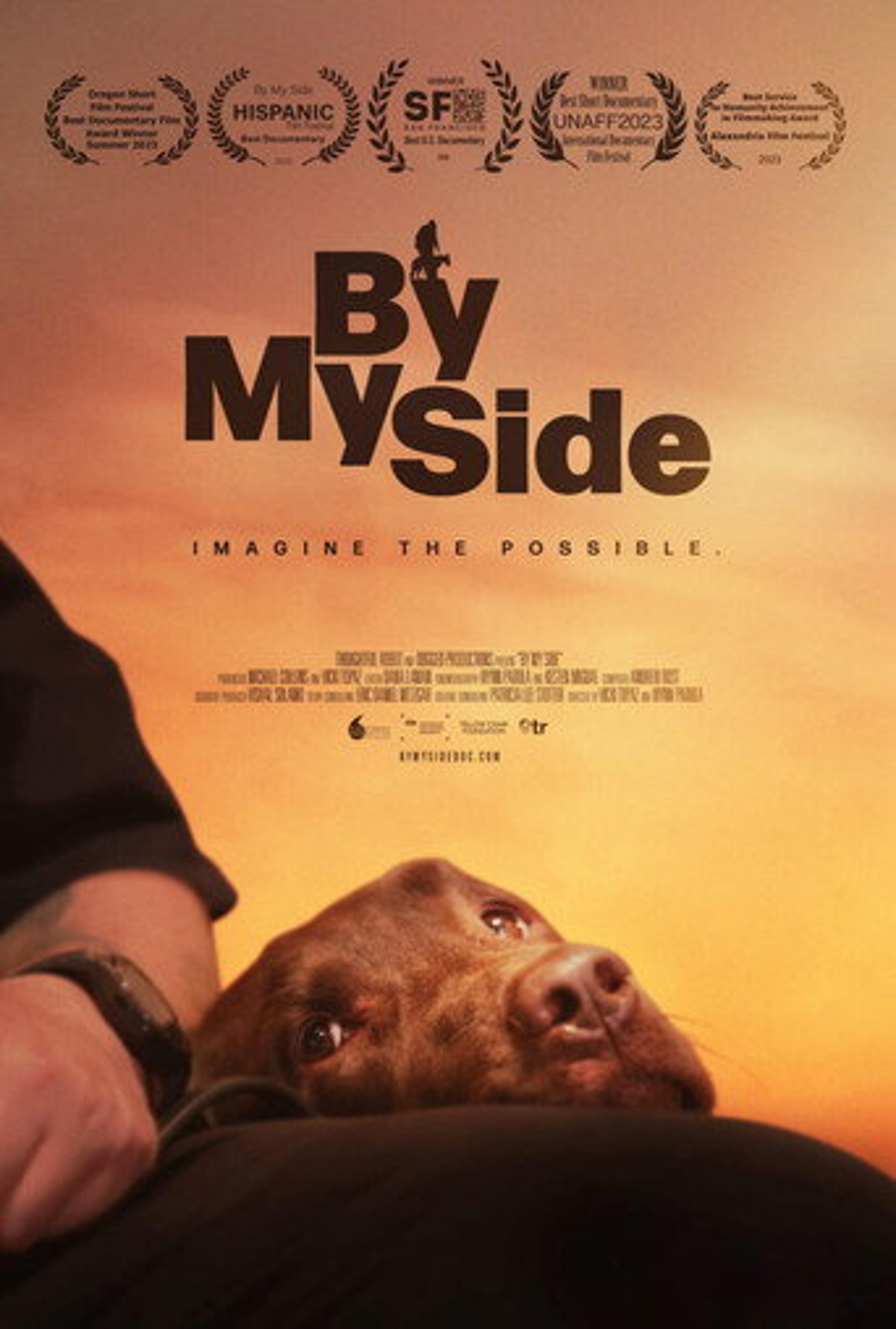 Poster film By My Side