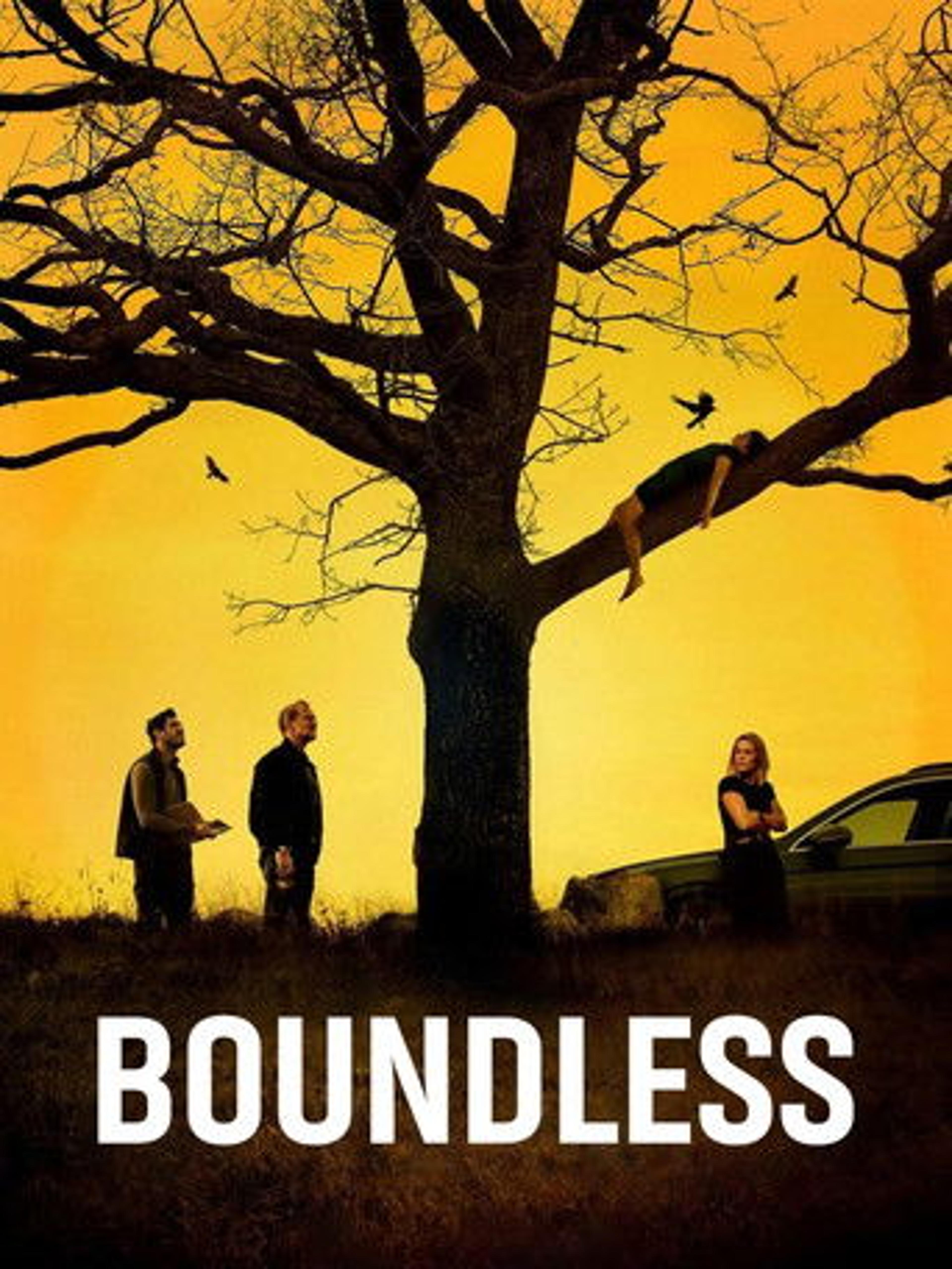 Poster film Boundless
