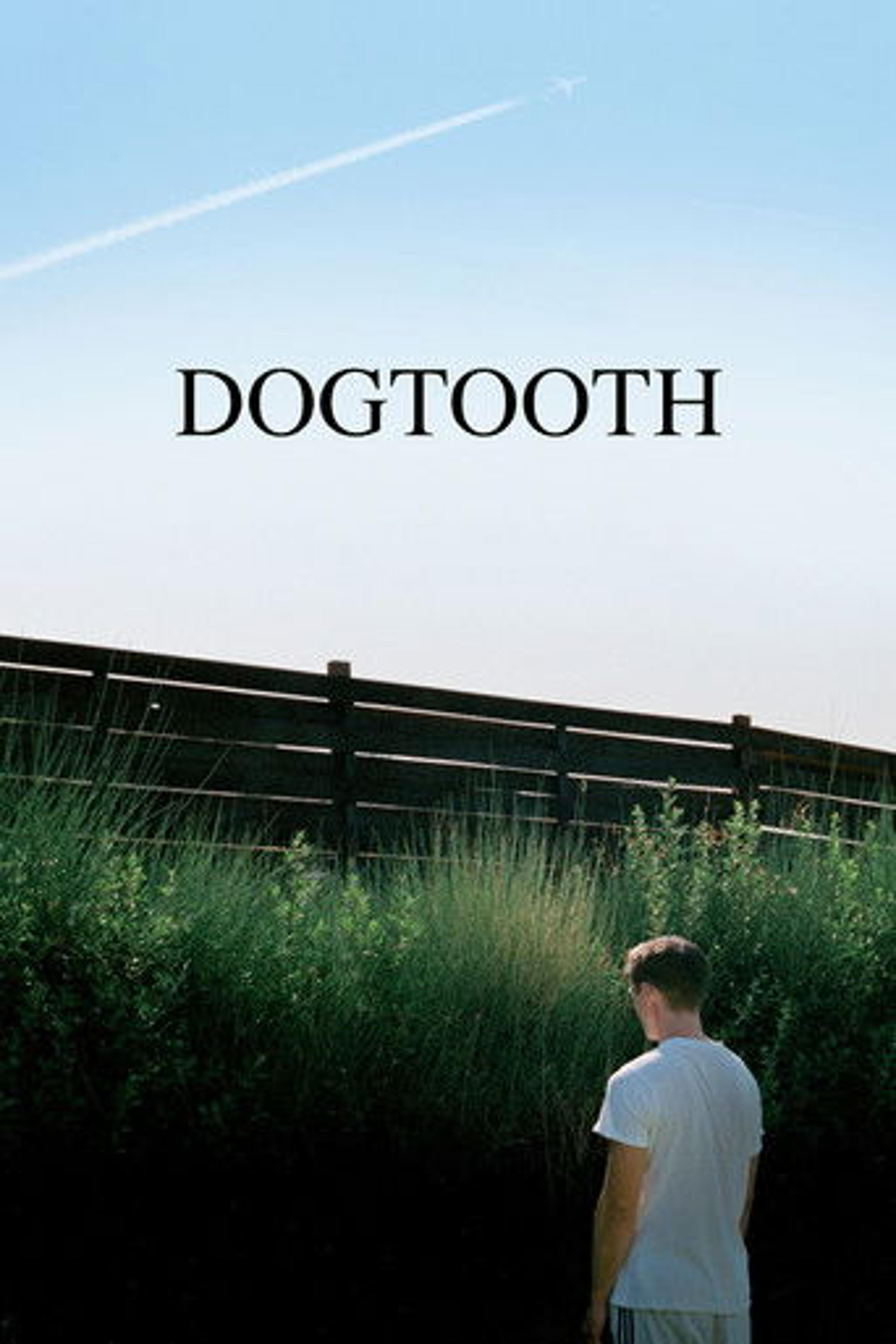 Poster film Dogtooth