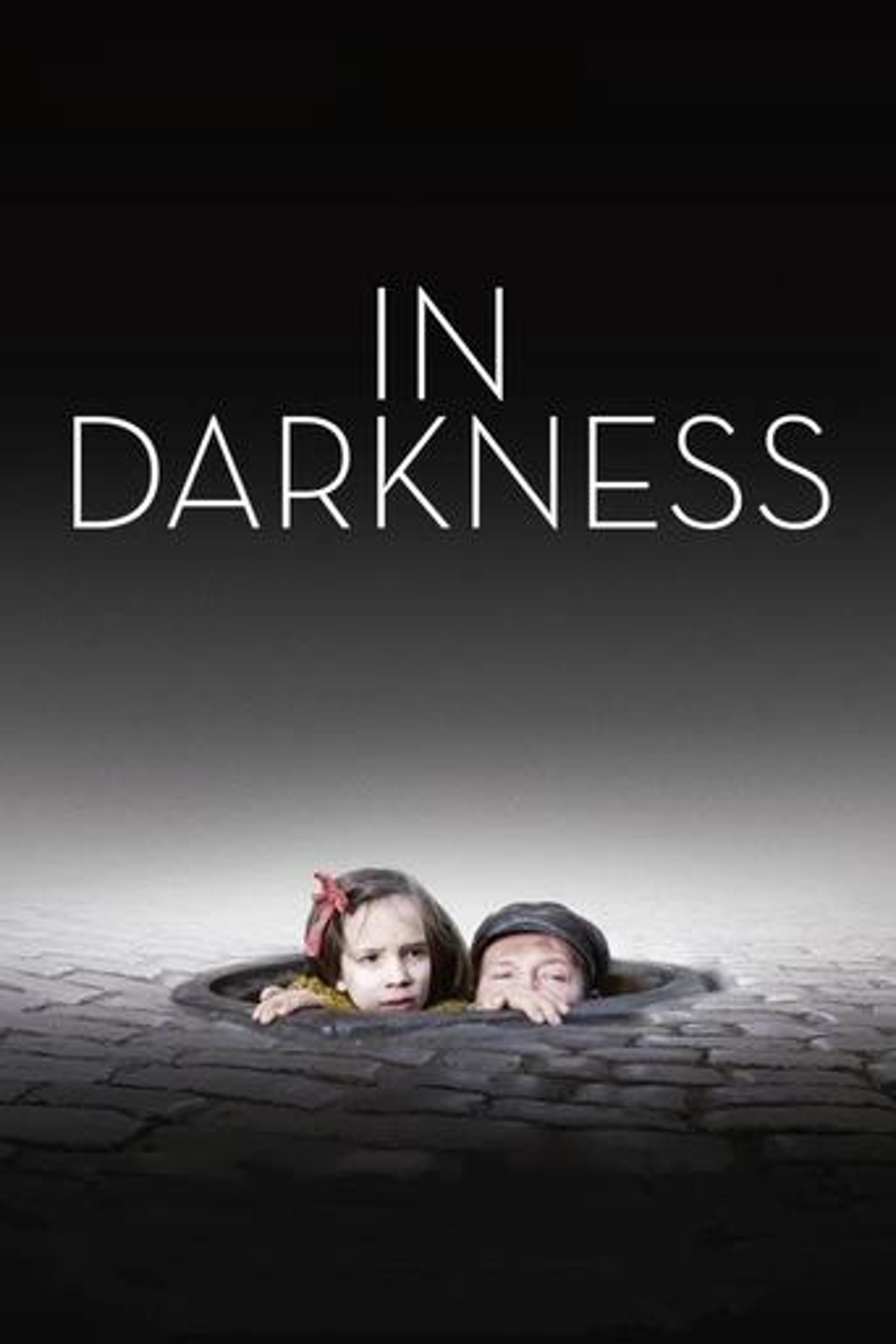 Poster film In Darkness