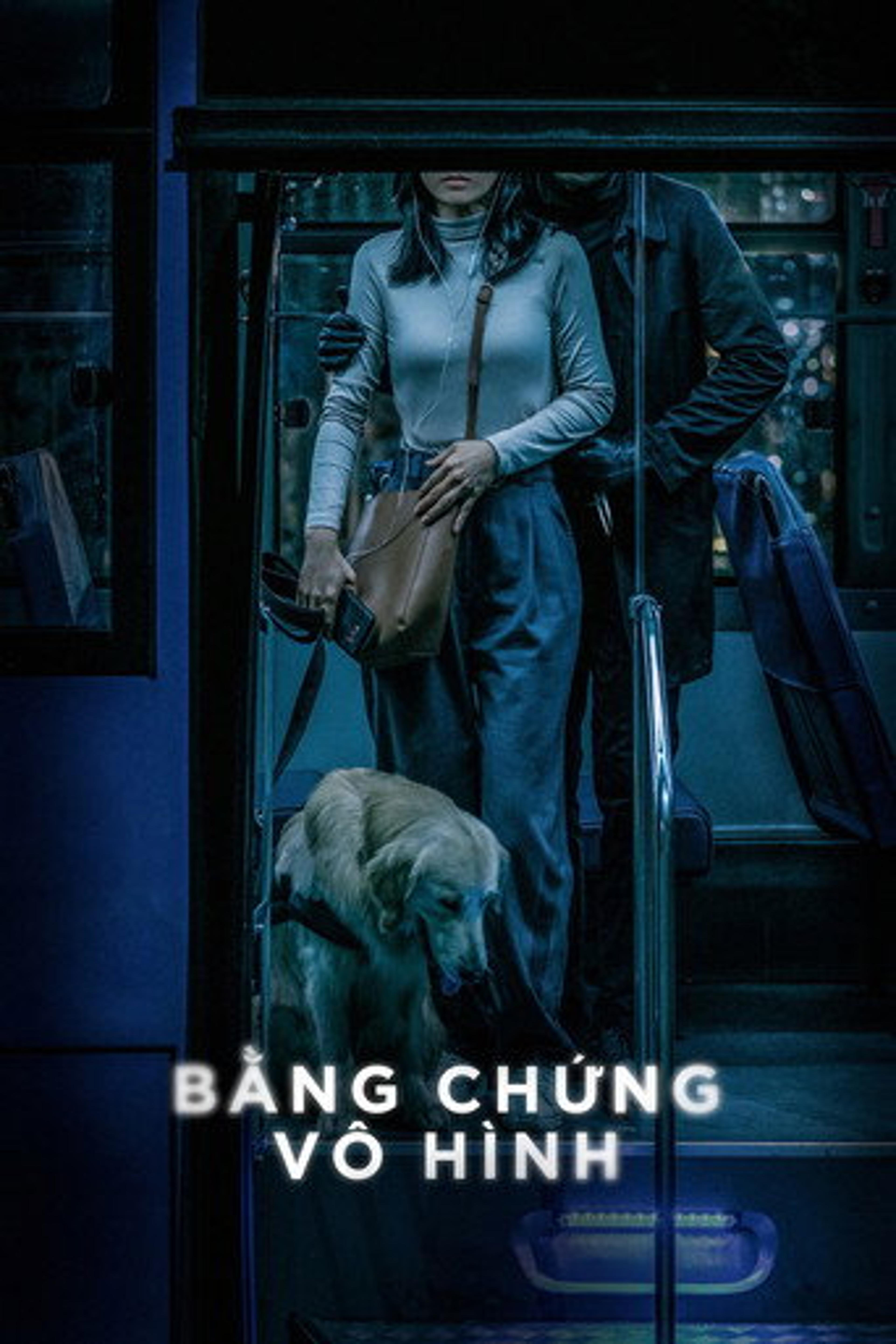 Poster film Invisible Evidence