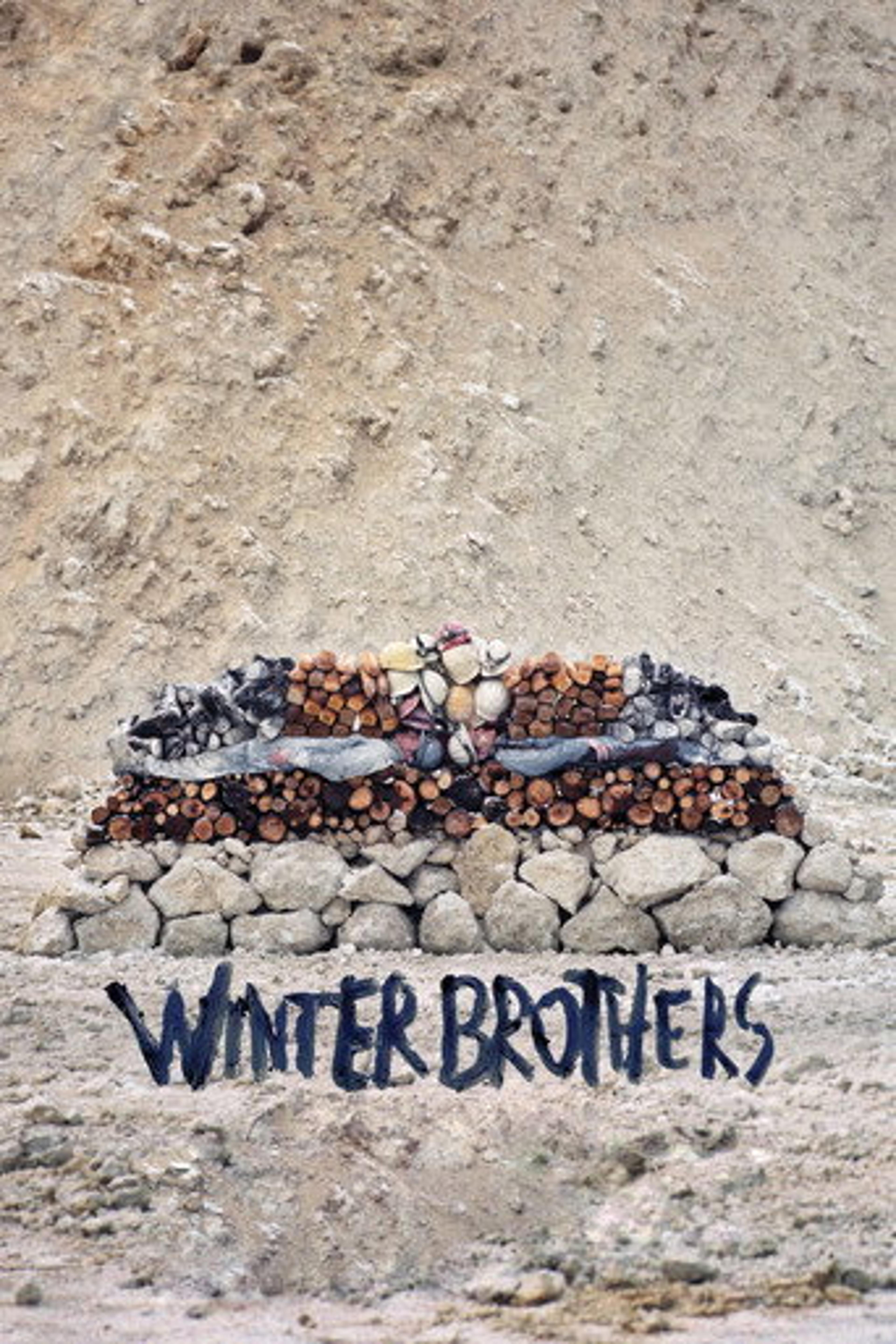 Poster film Winter Brothers