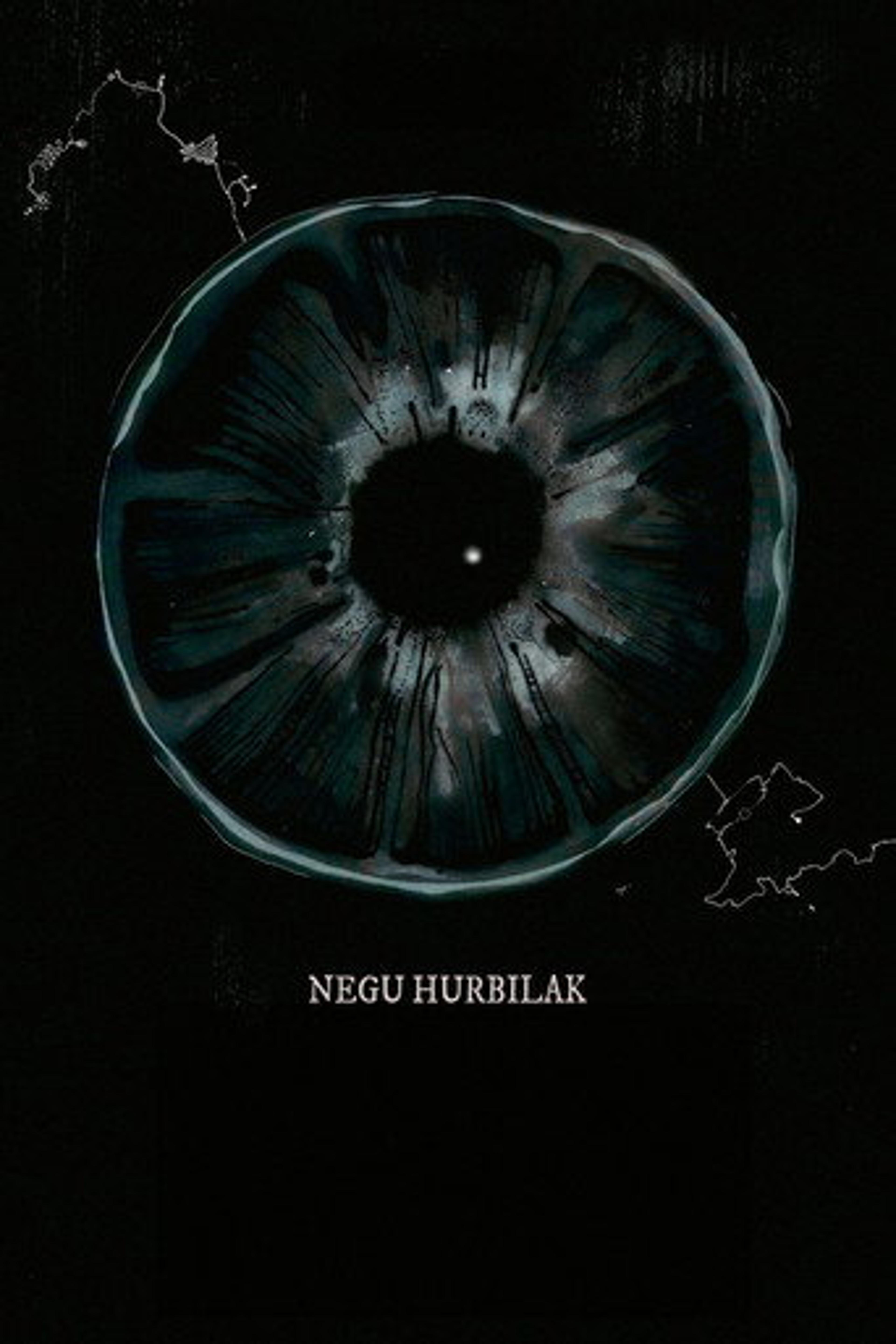 Poster film Negu hurbilak