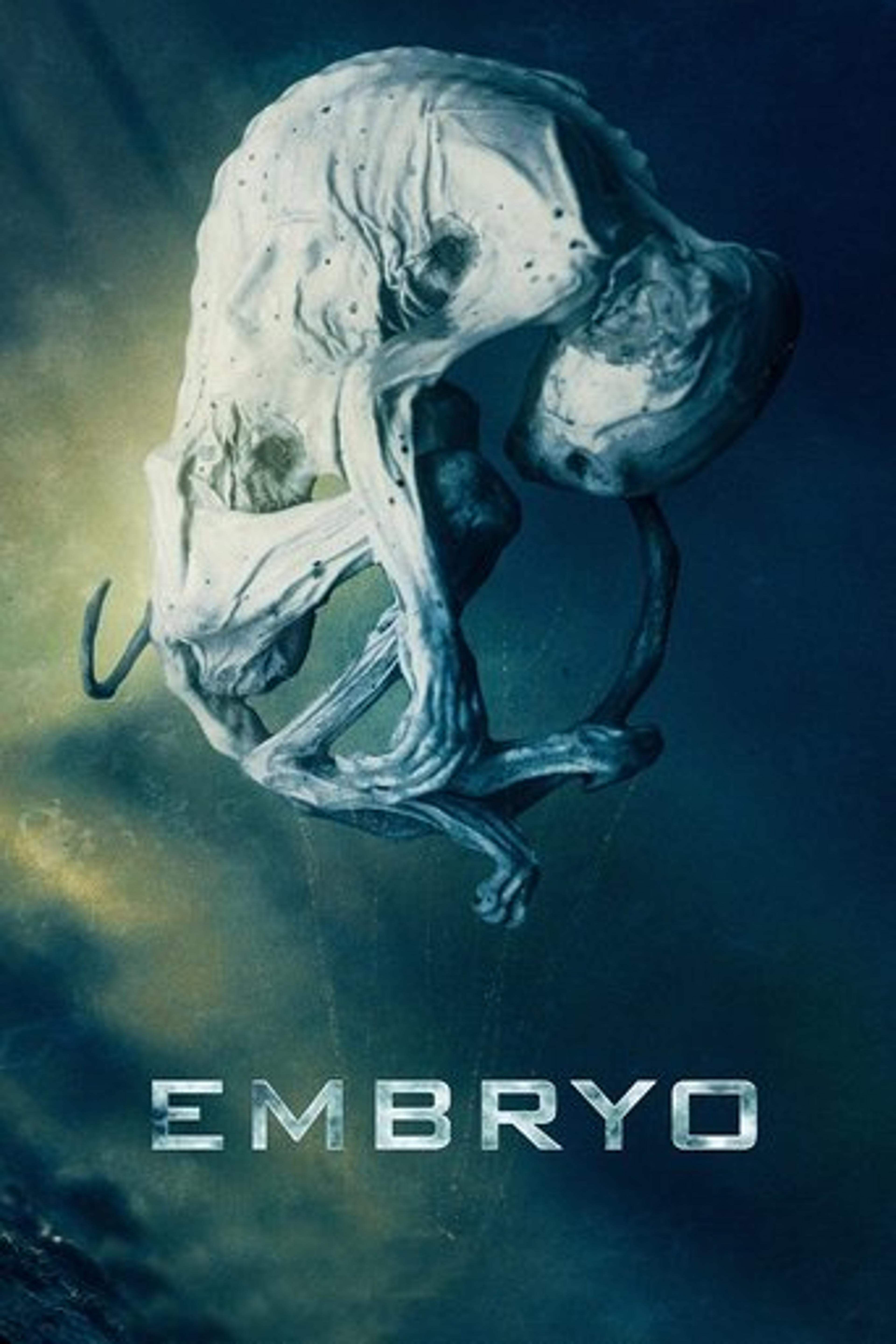 Poster film Embryo