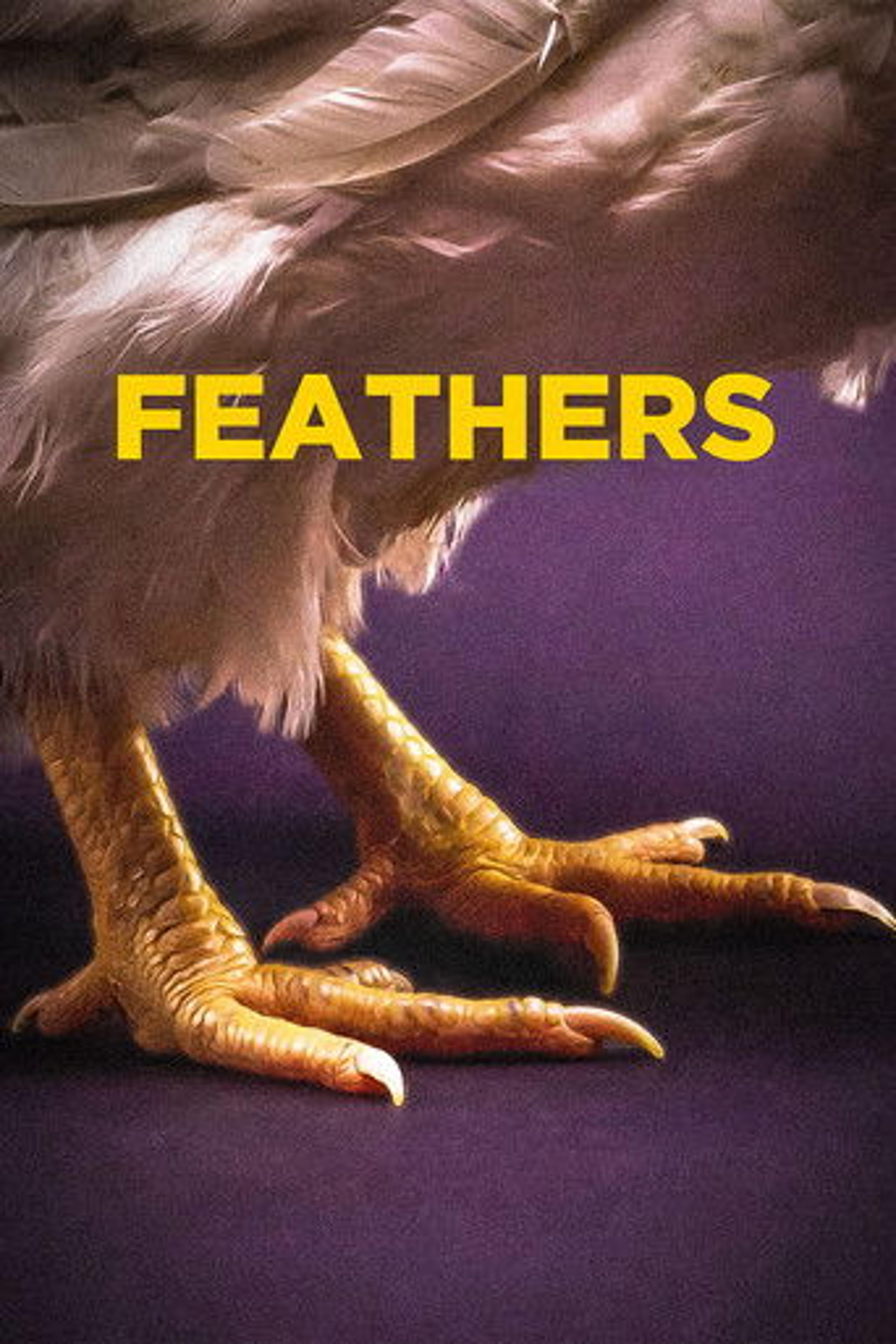 Poster film Feathers