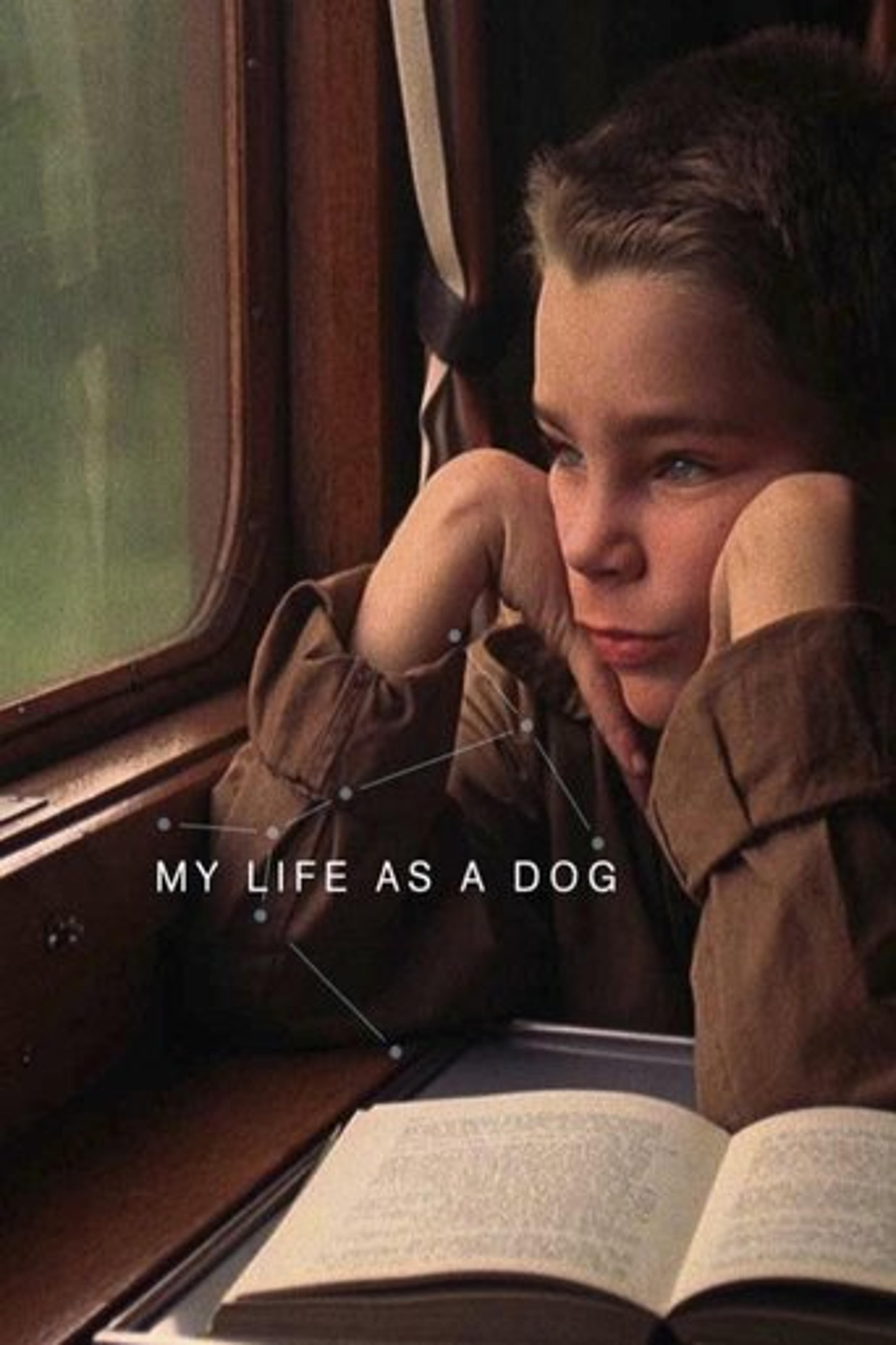 Poster film My Life as a Dog