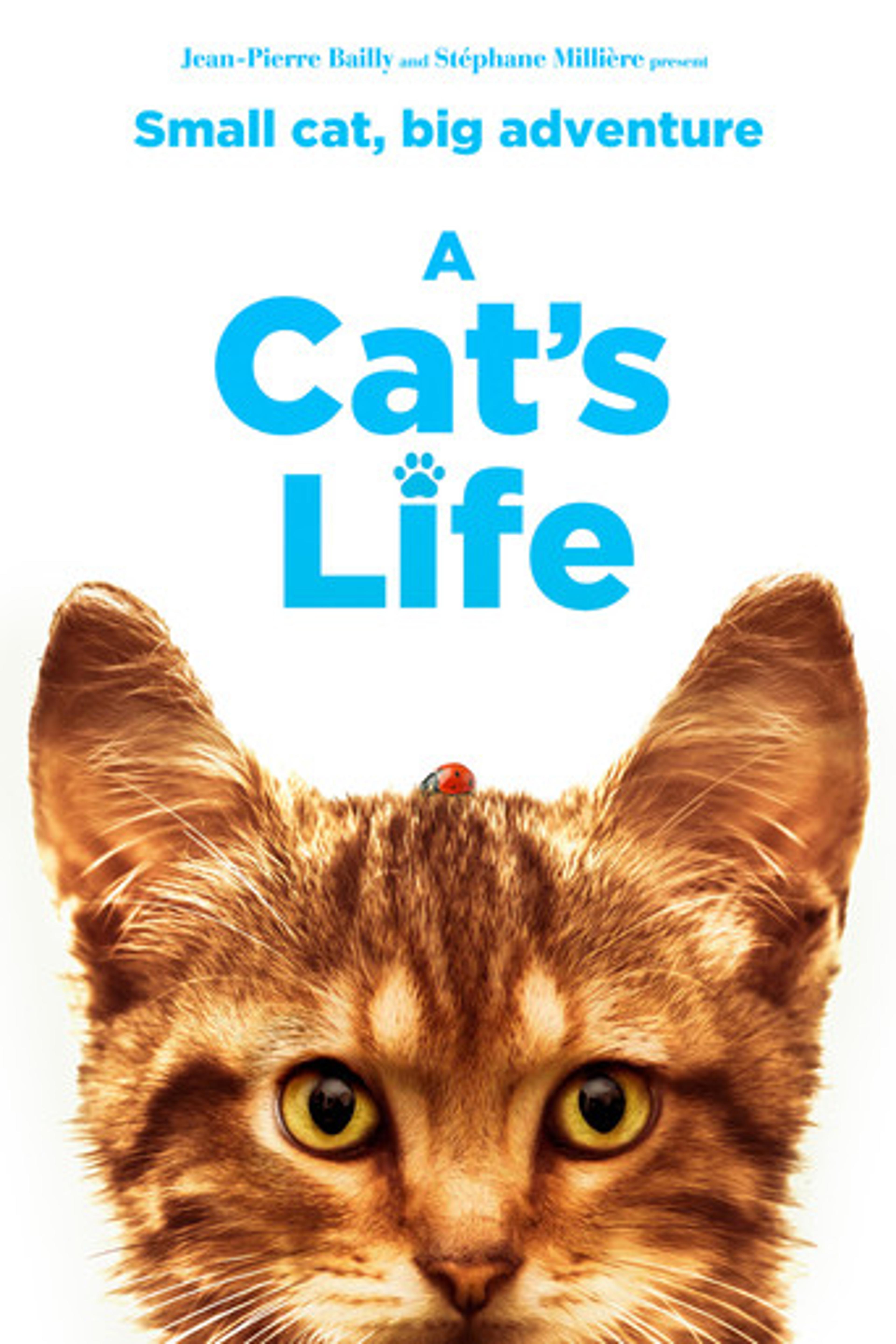 Poster film A Cat's Life