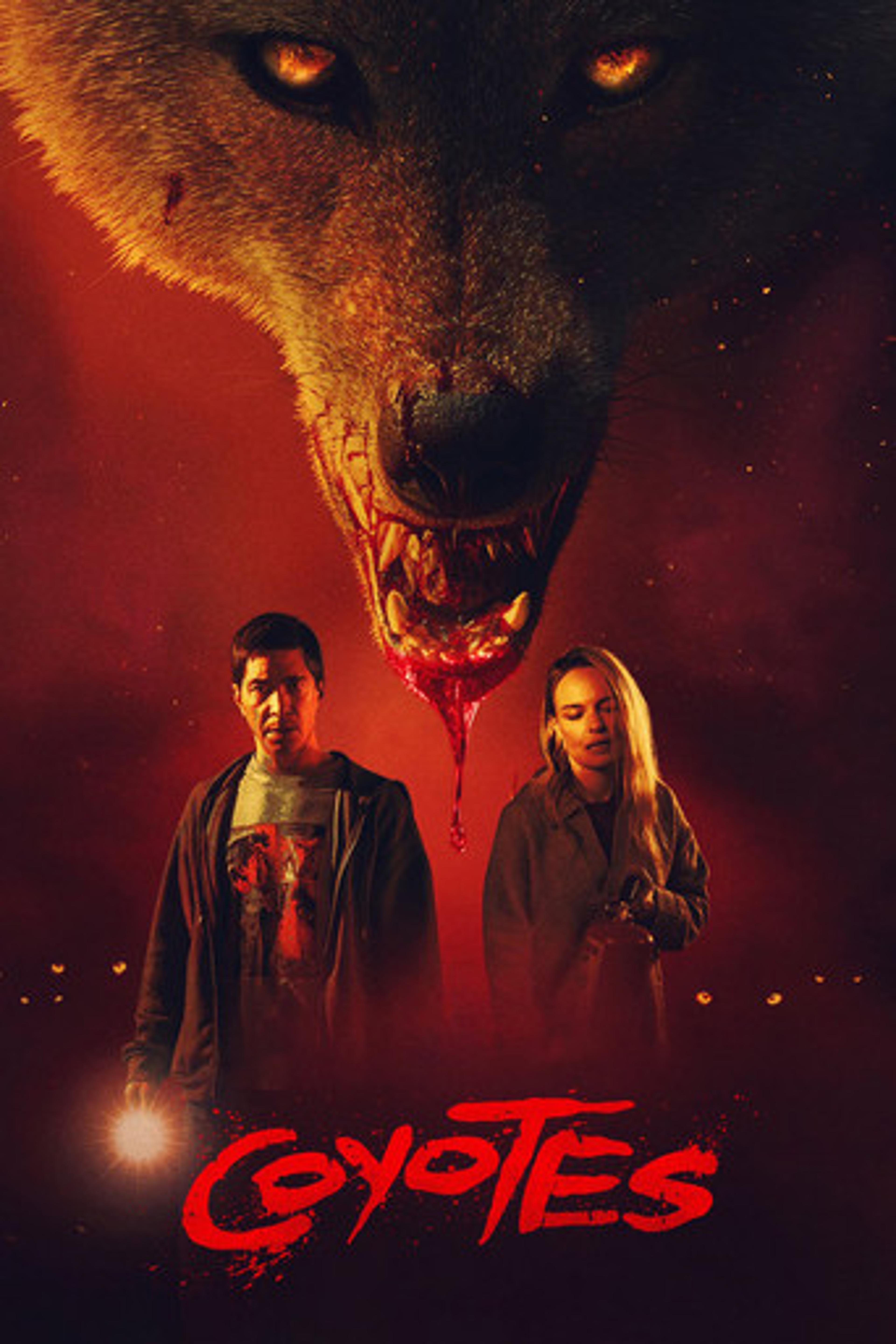 Poster film Coyotes