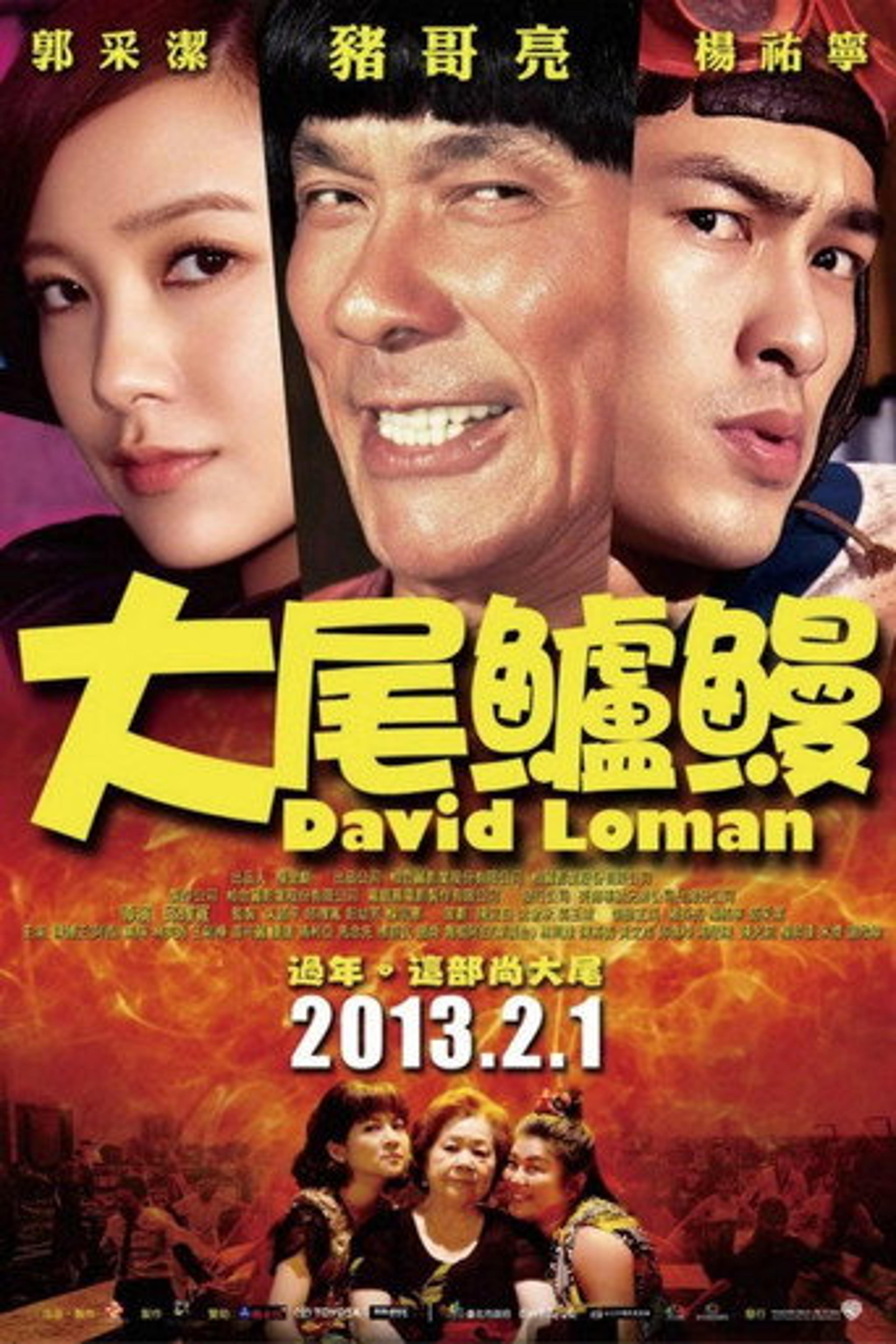 Poster film David Loman