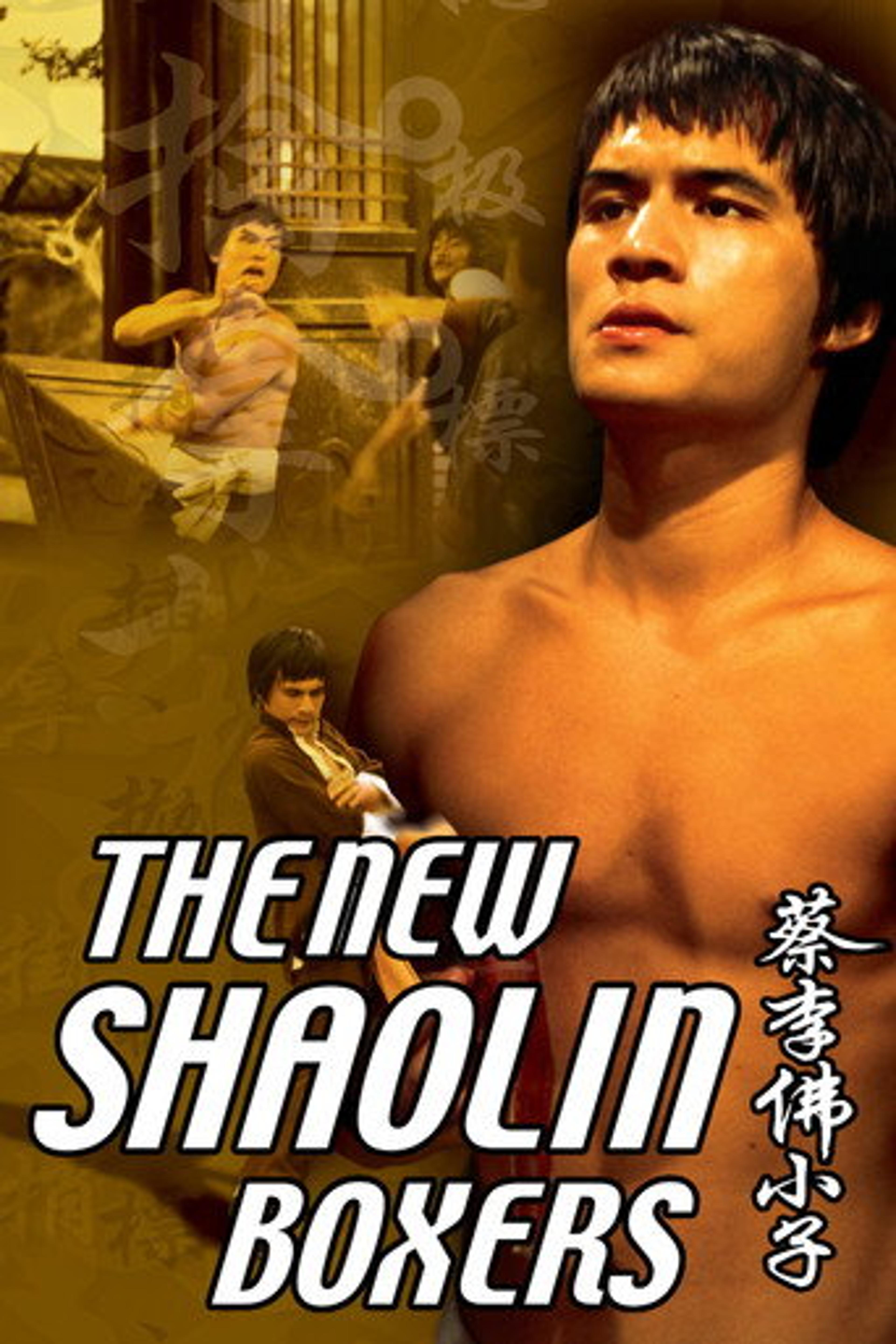 Poster film The New Shaolin Boxers