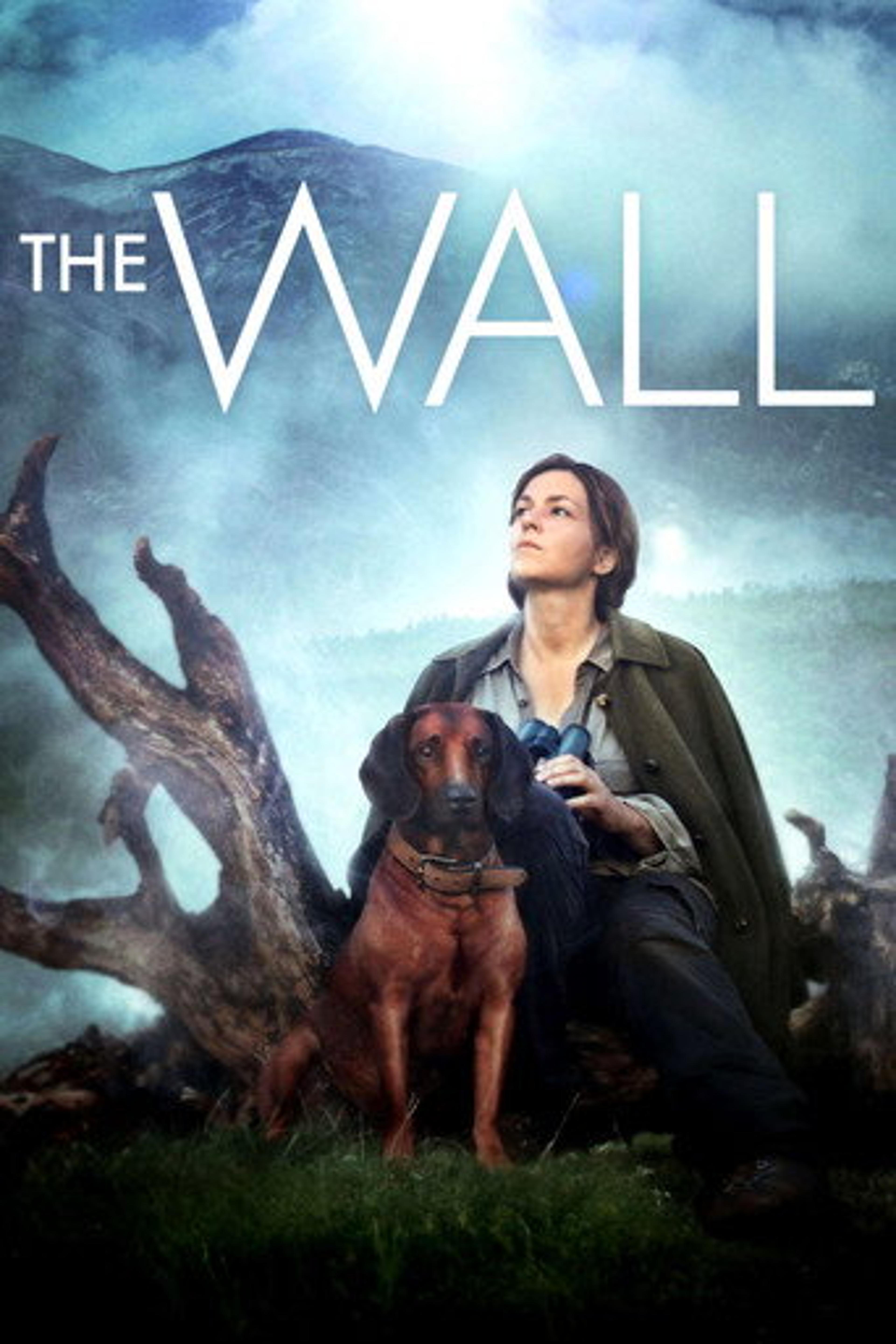 Poster film The Wall