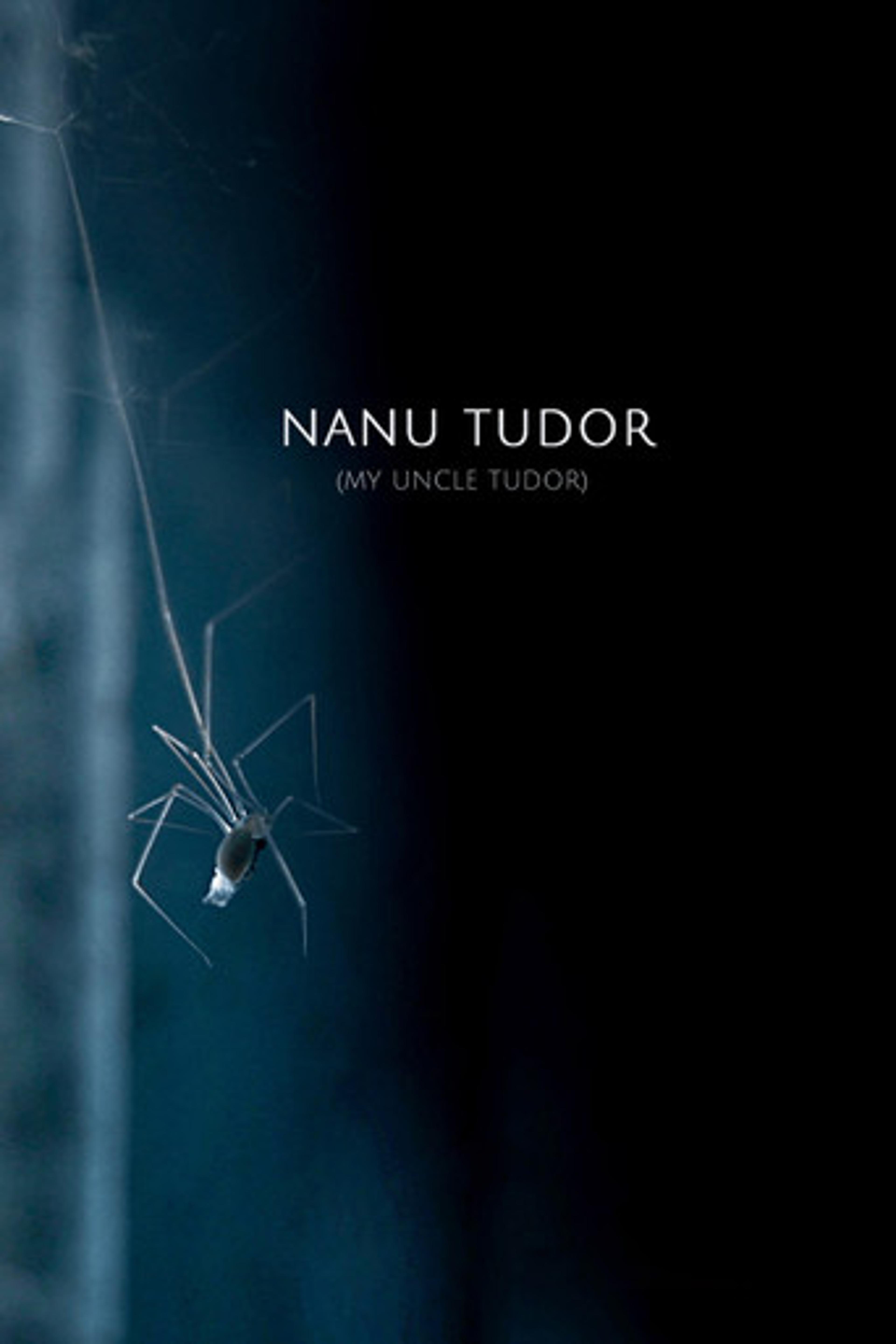 Poster film My Uncle Tudor