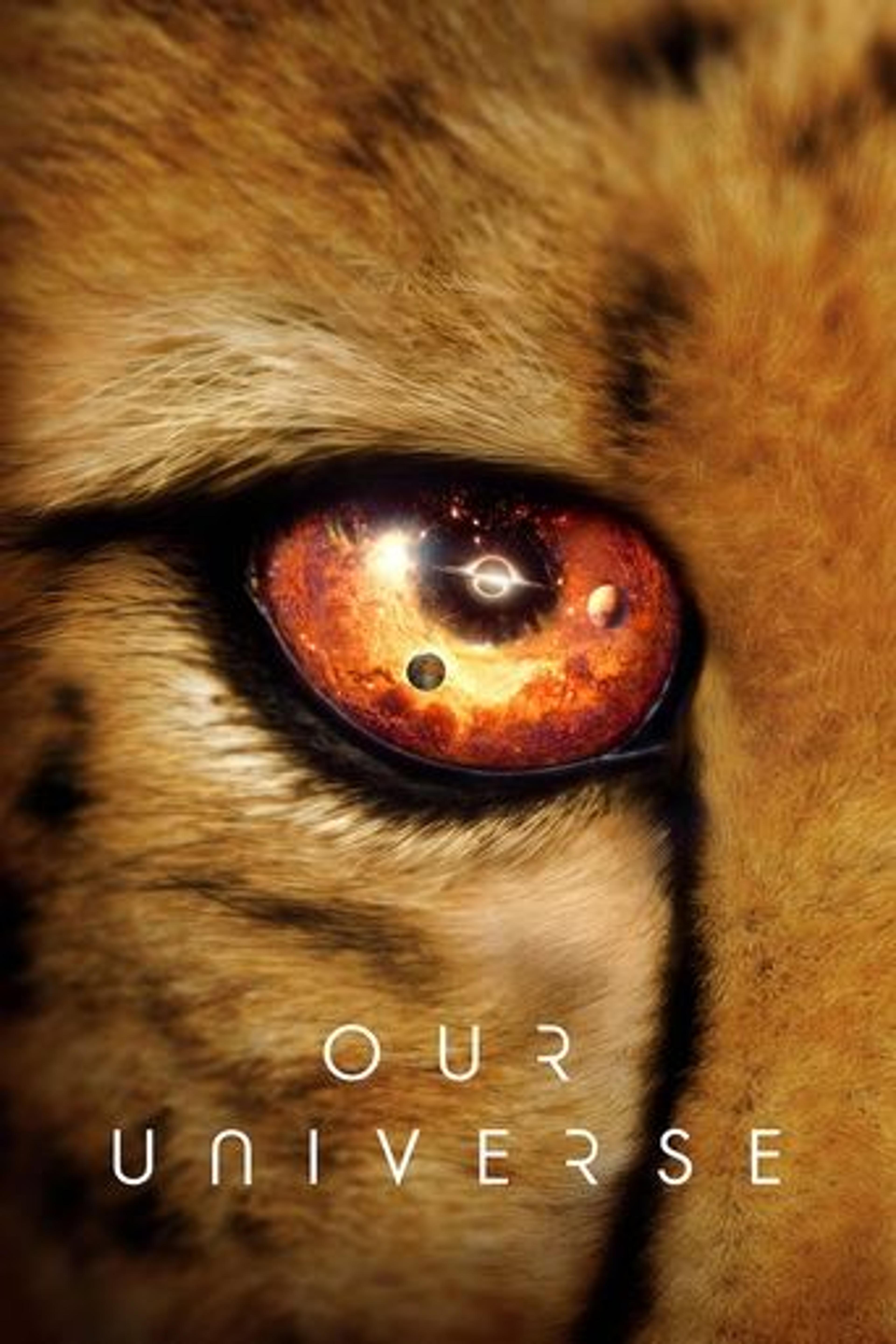 Poster series Our Universe