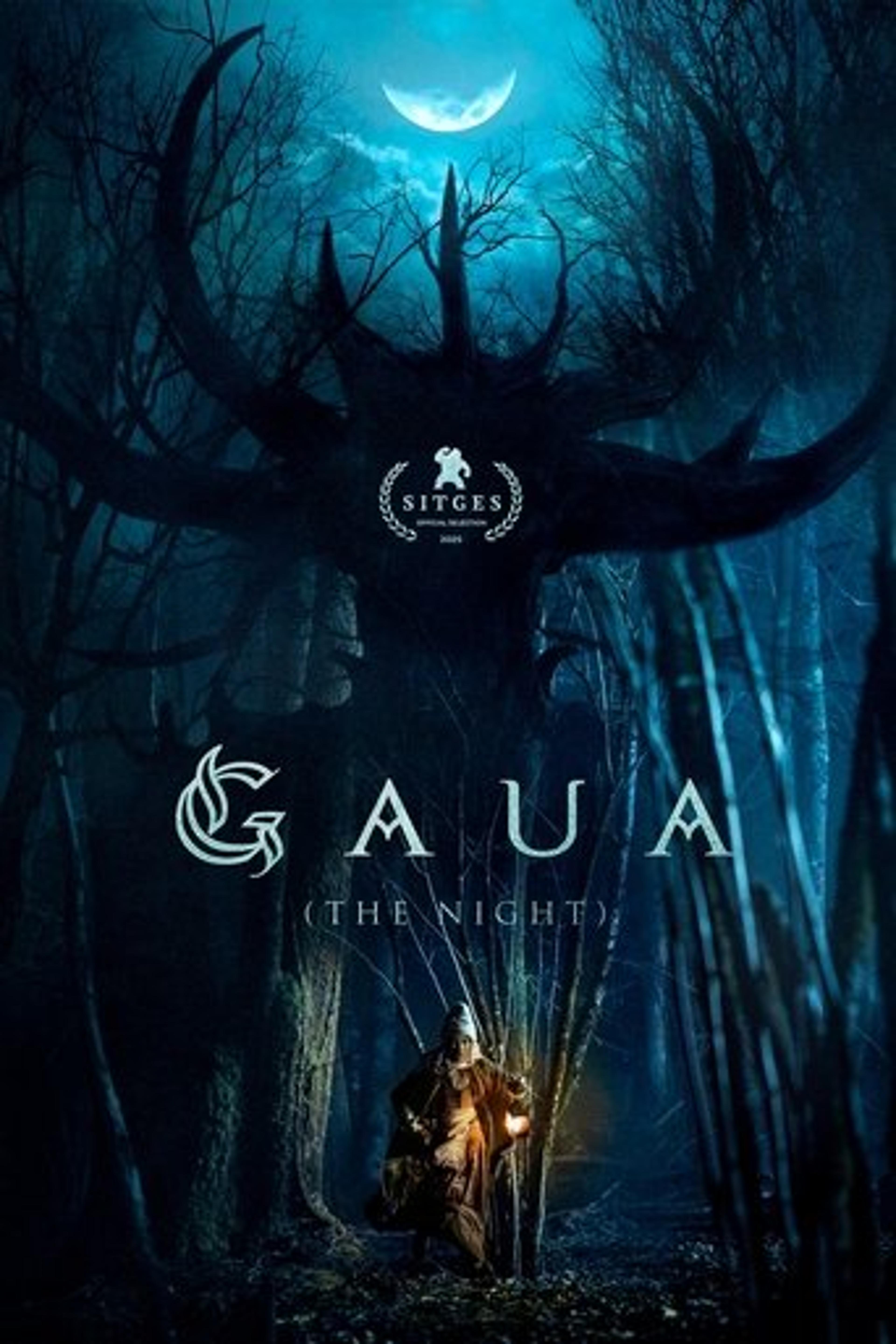 Poster film Gaua (The Night)