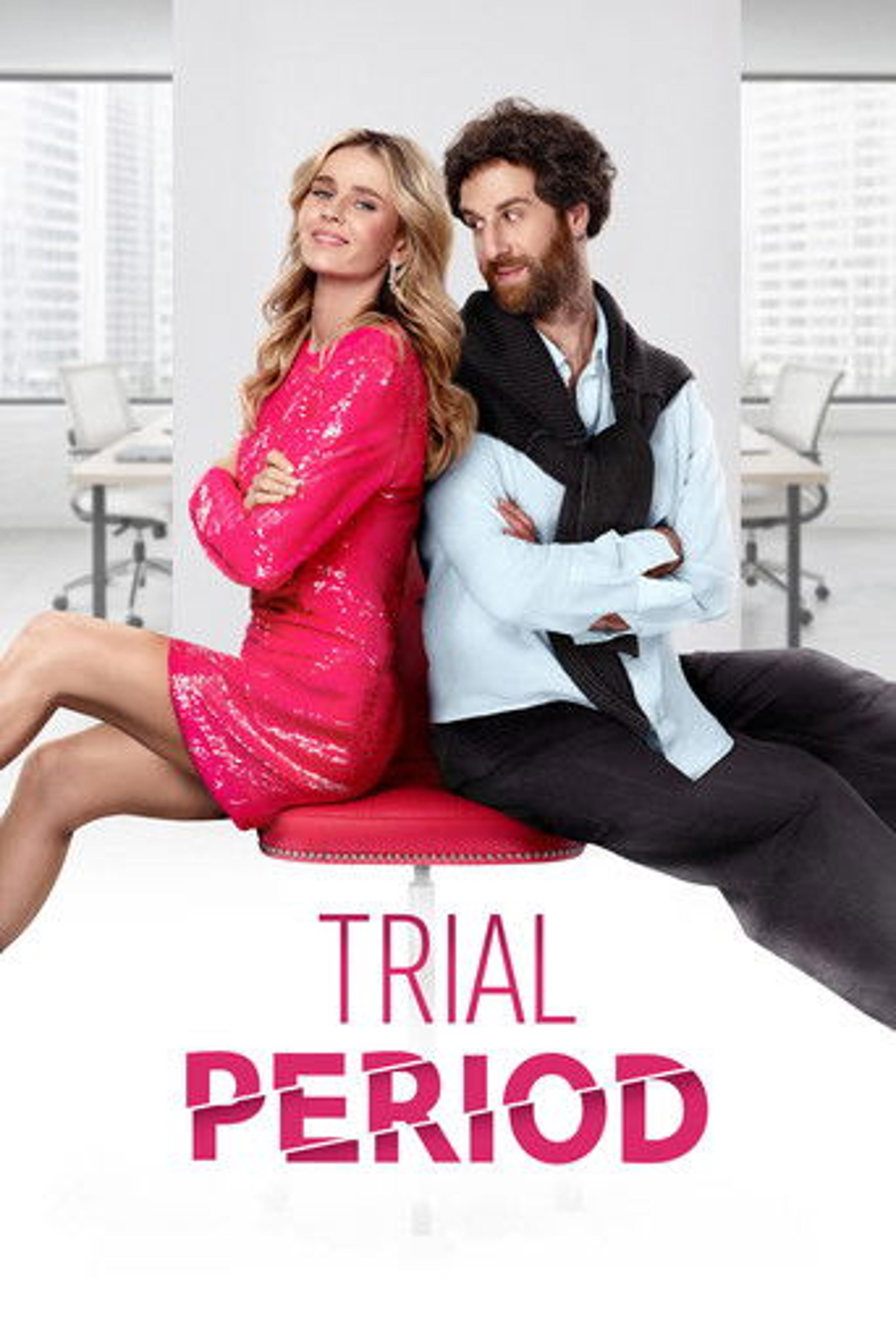 Poster film Trial Period