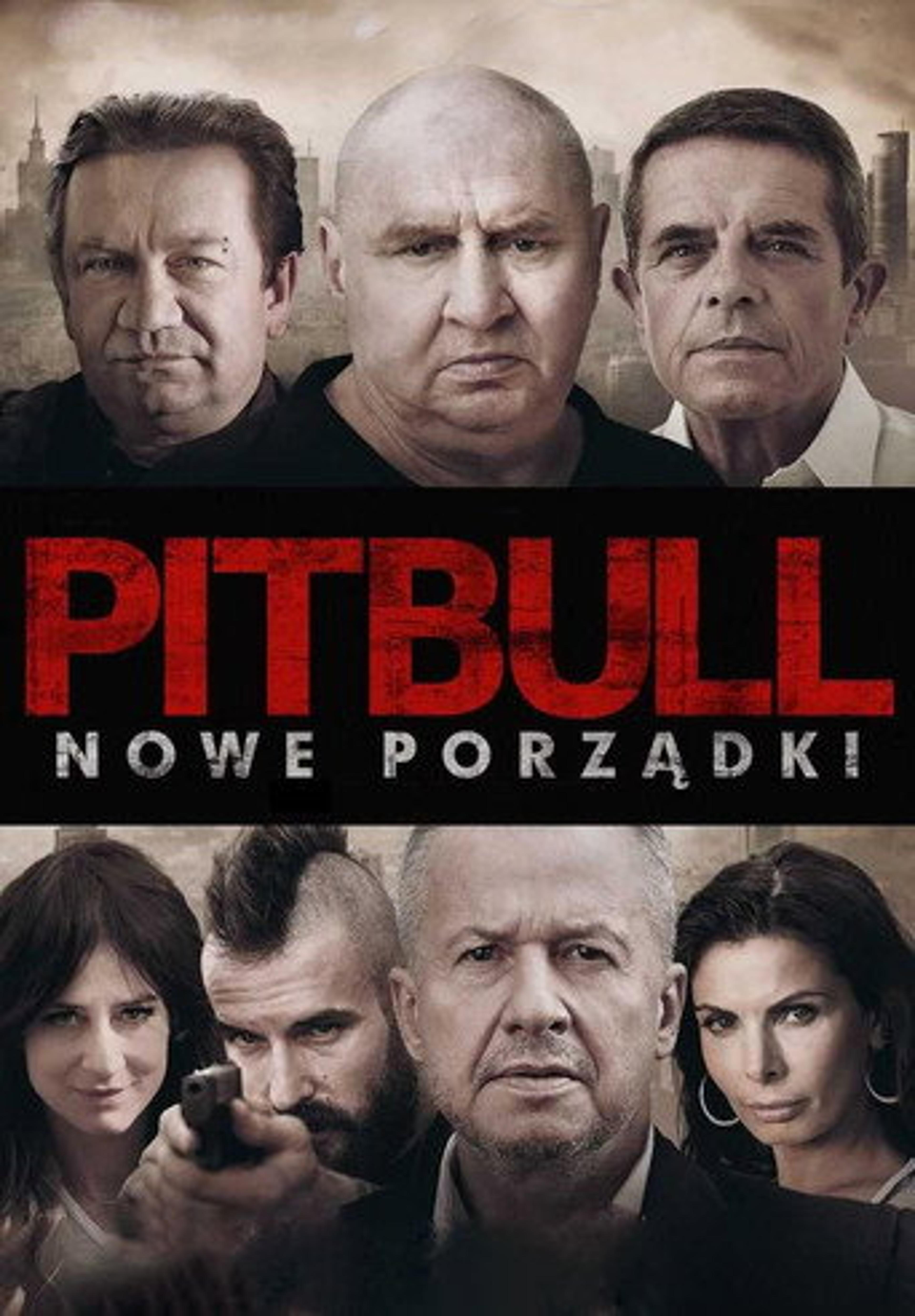 Poster film Pitbull: Public Orders