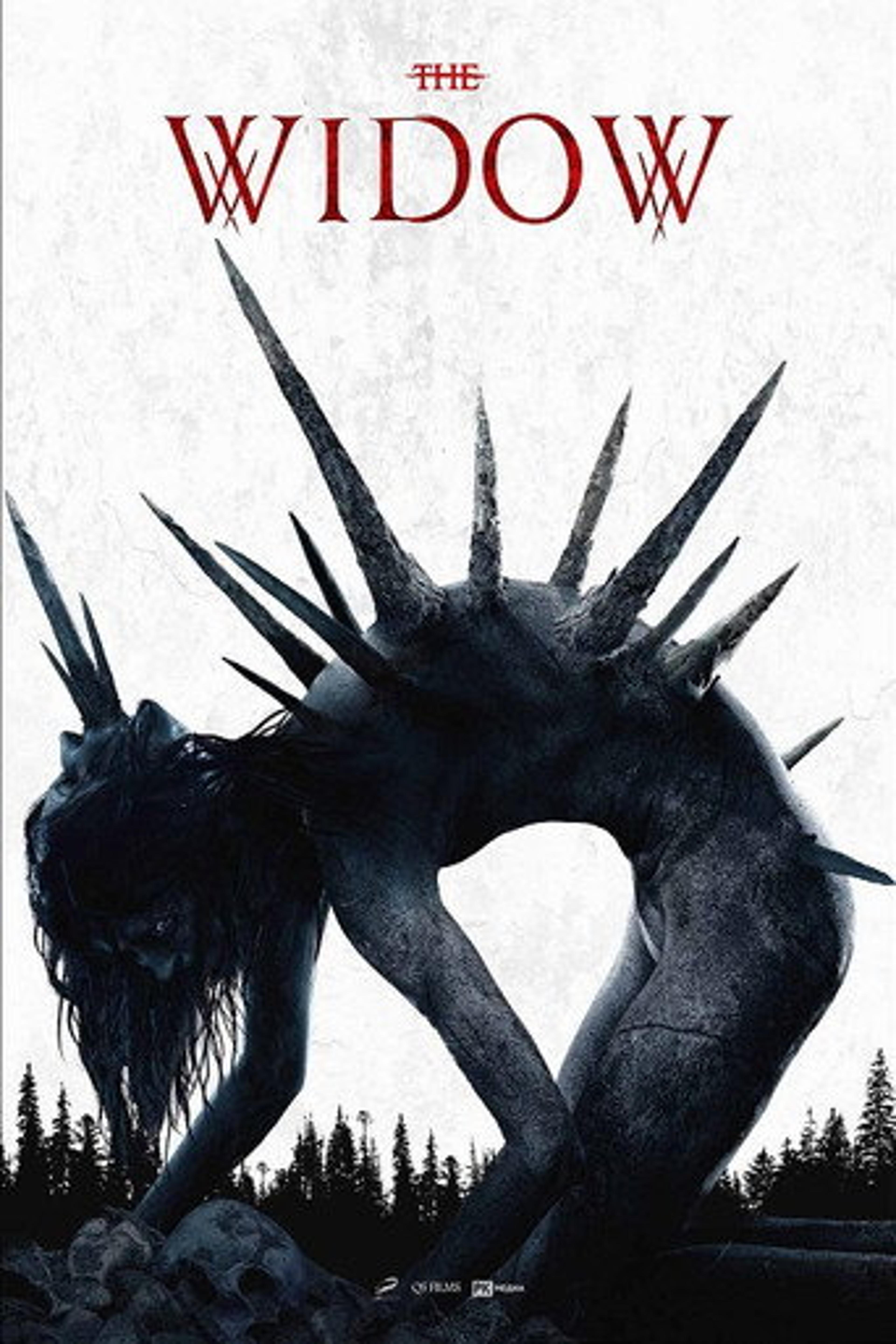 Poster film The Widow