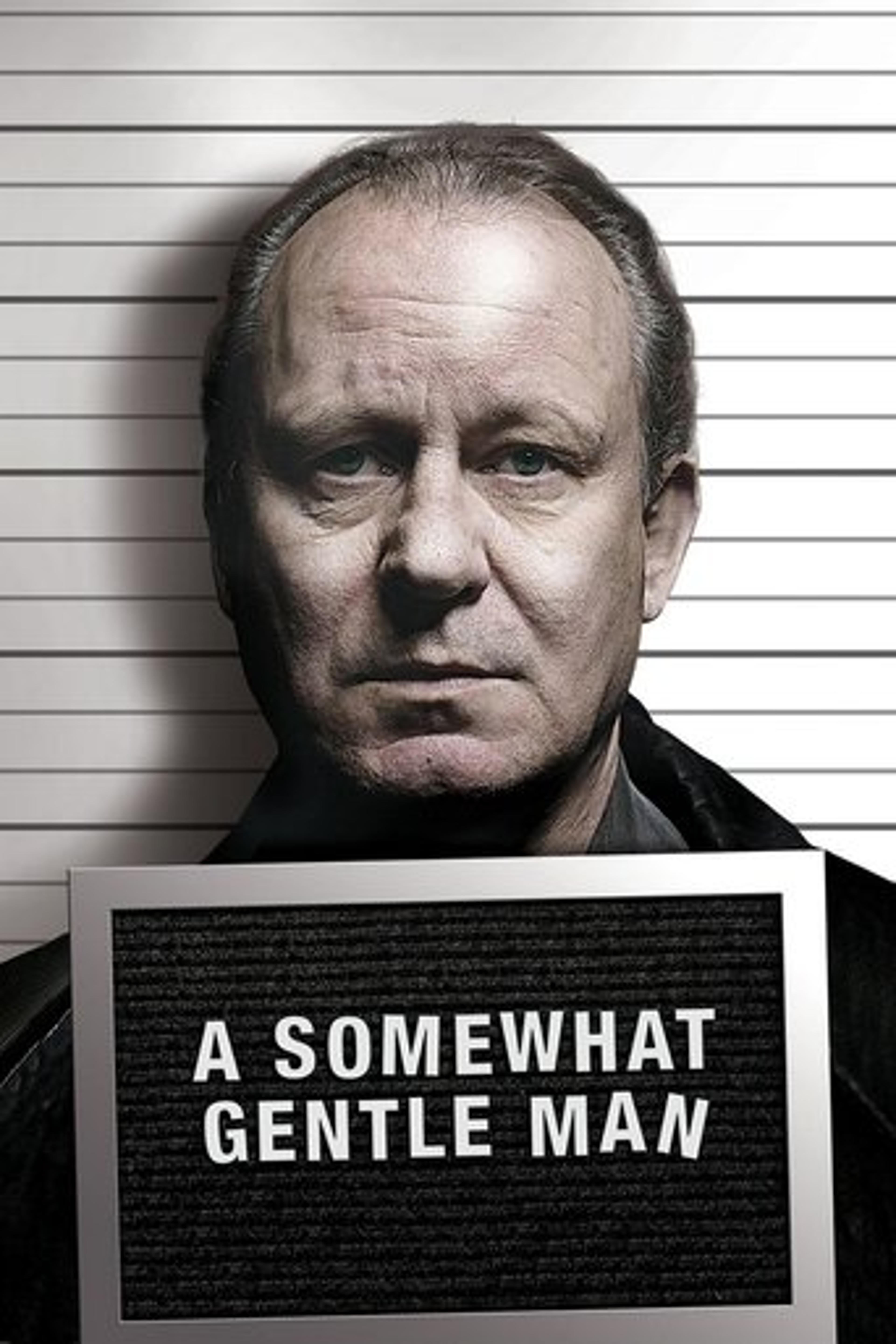Poster film A Somewhat Gentle Man