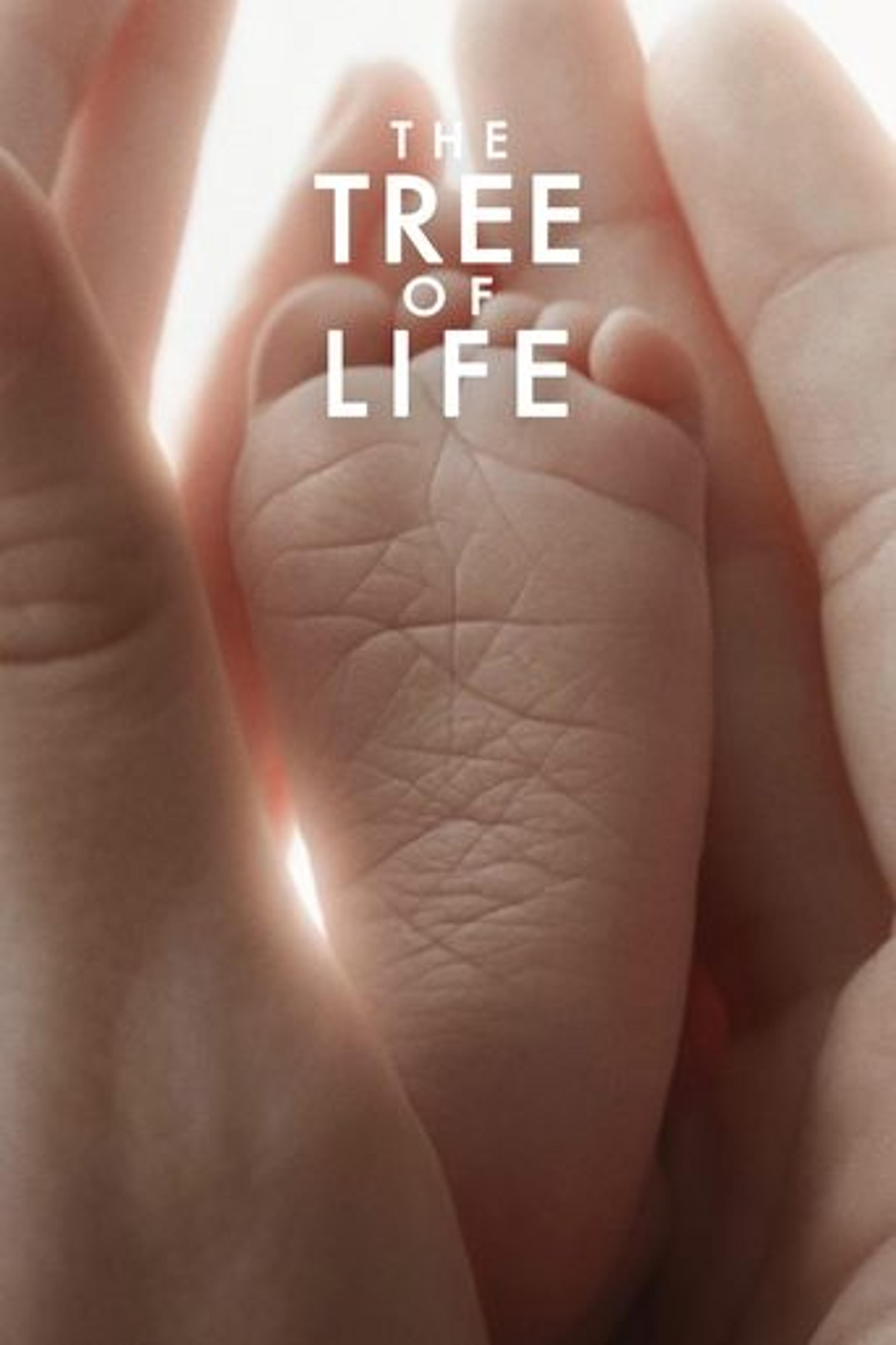 Poster film The Tree of Life
