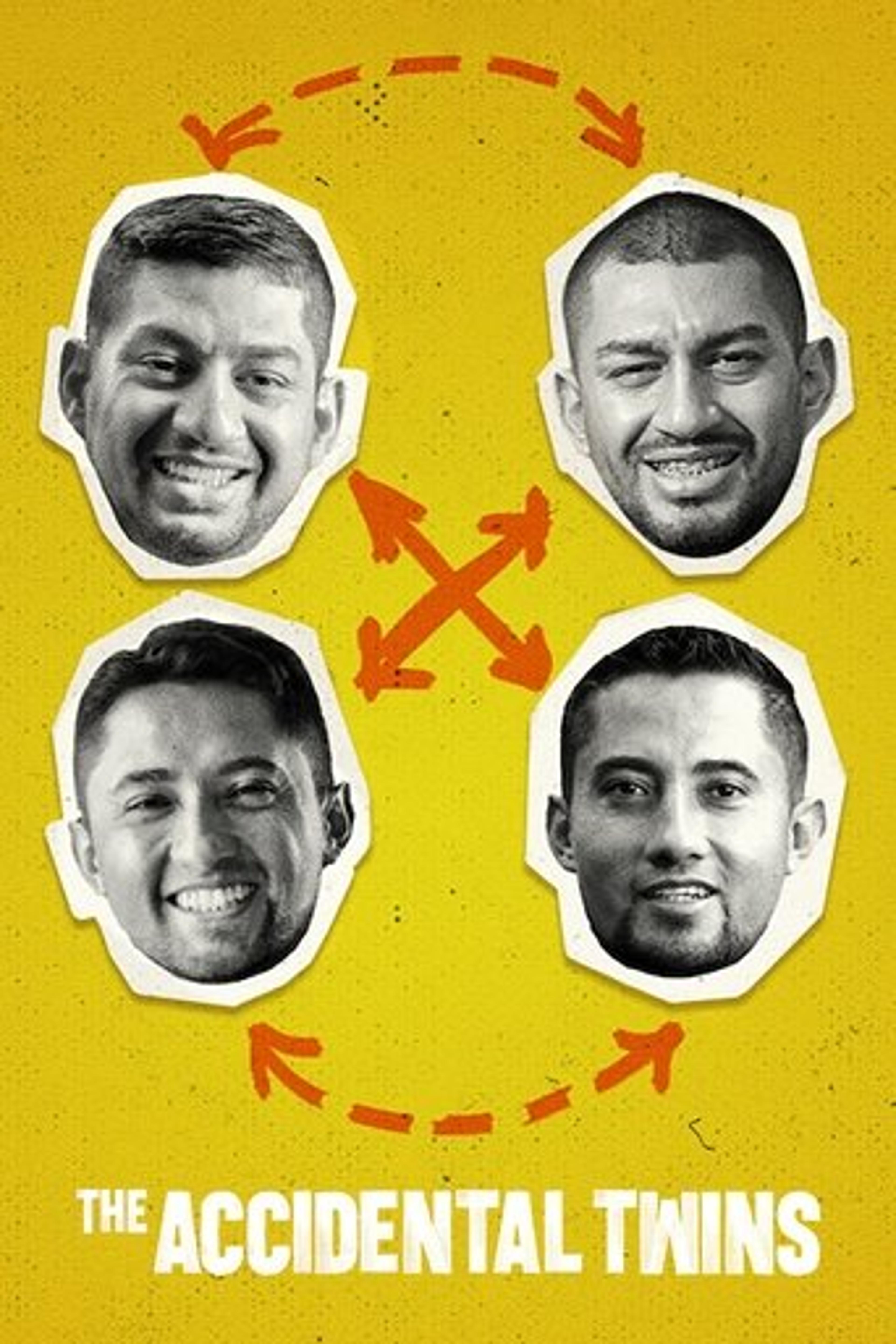 Poster film The Accidental Twins