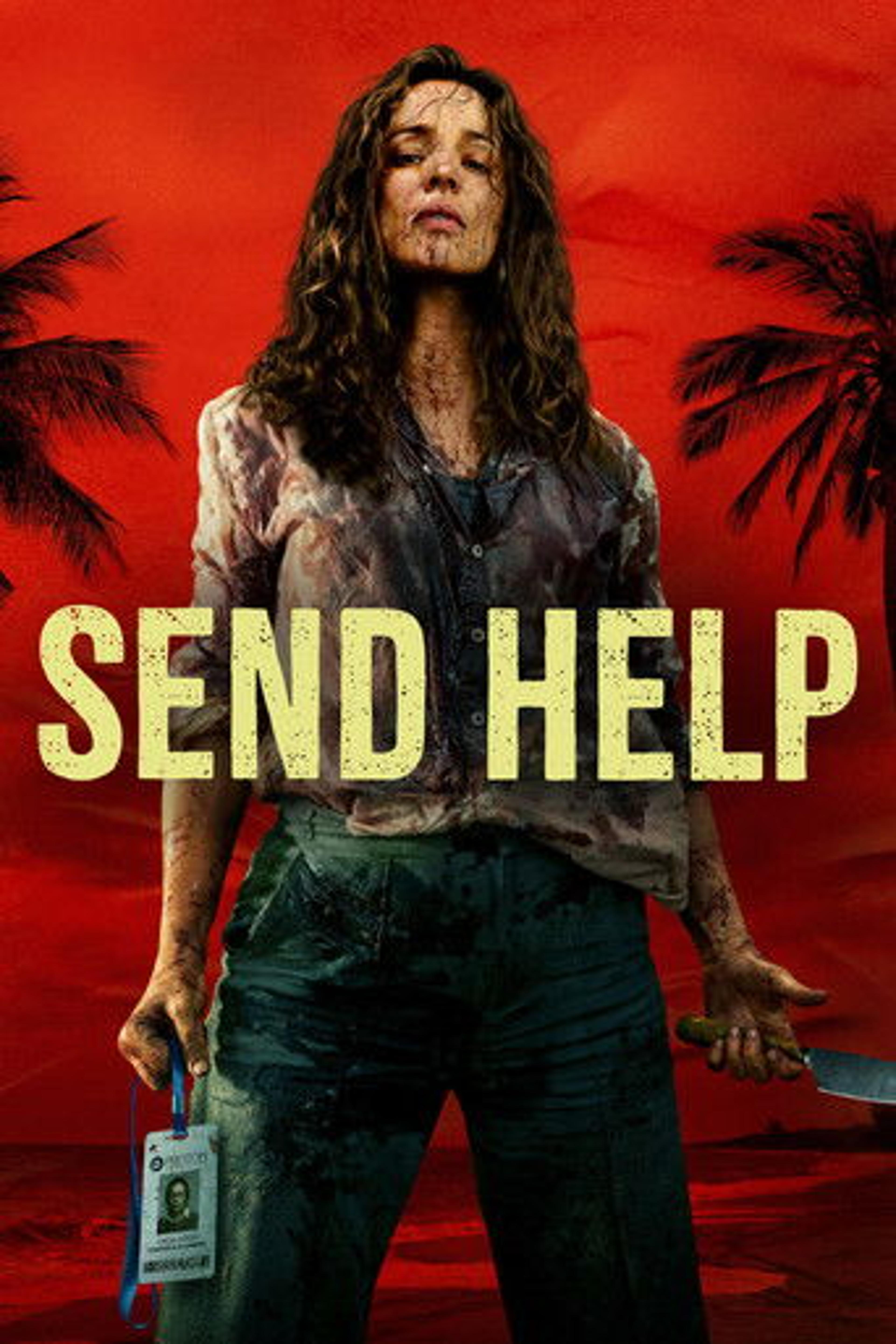 Poster film Send Help