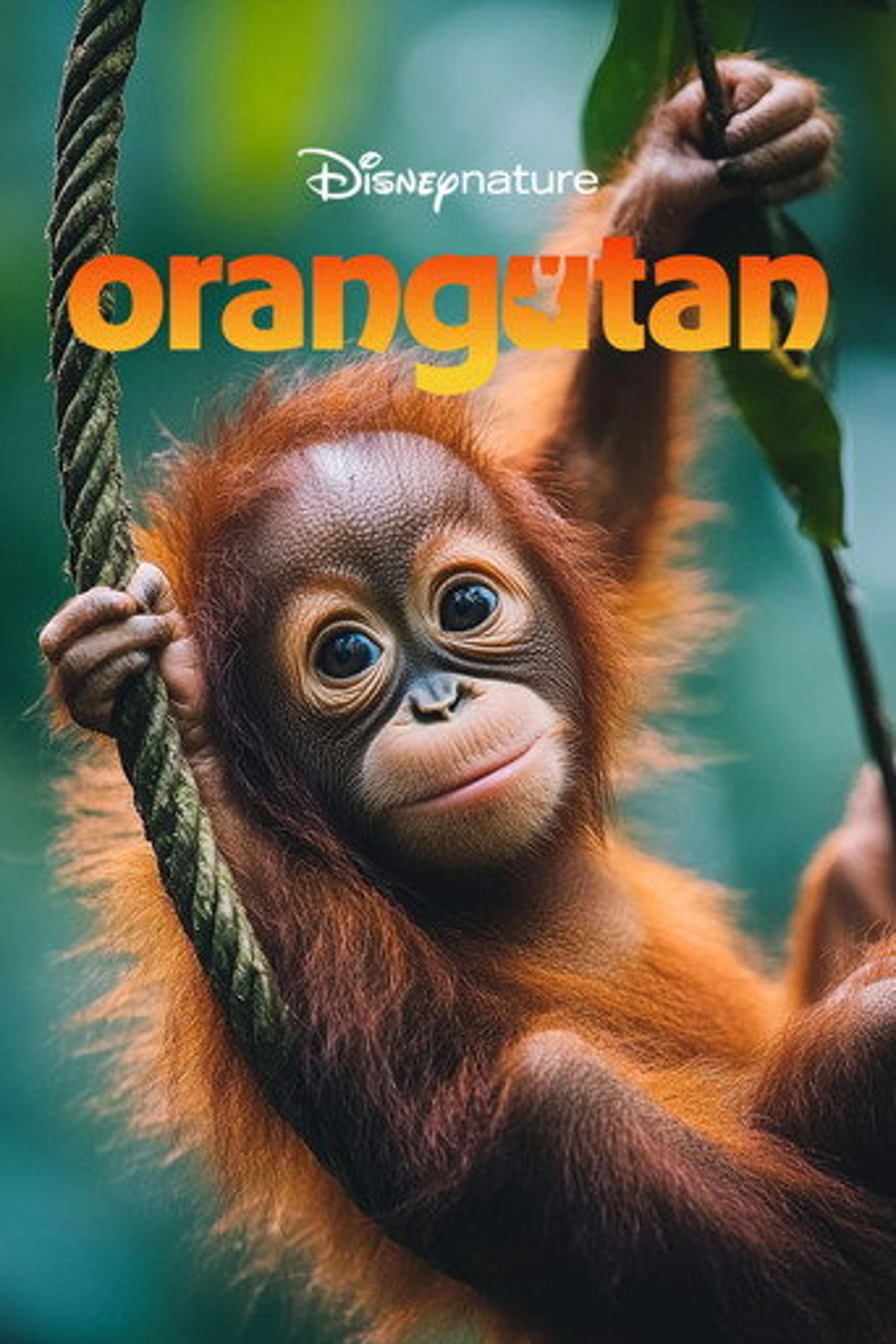 Poster film Orangutan