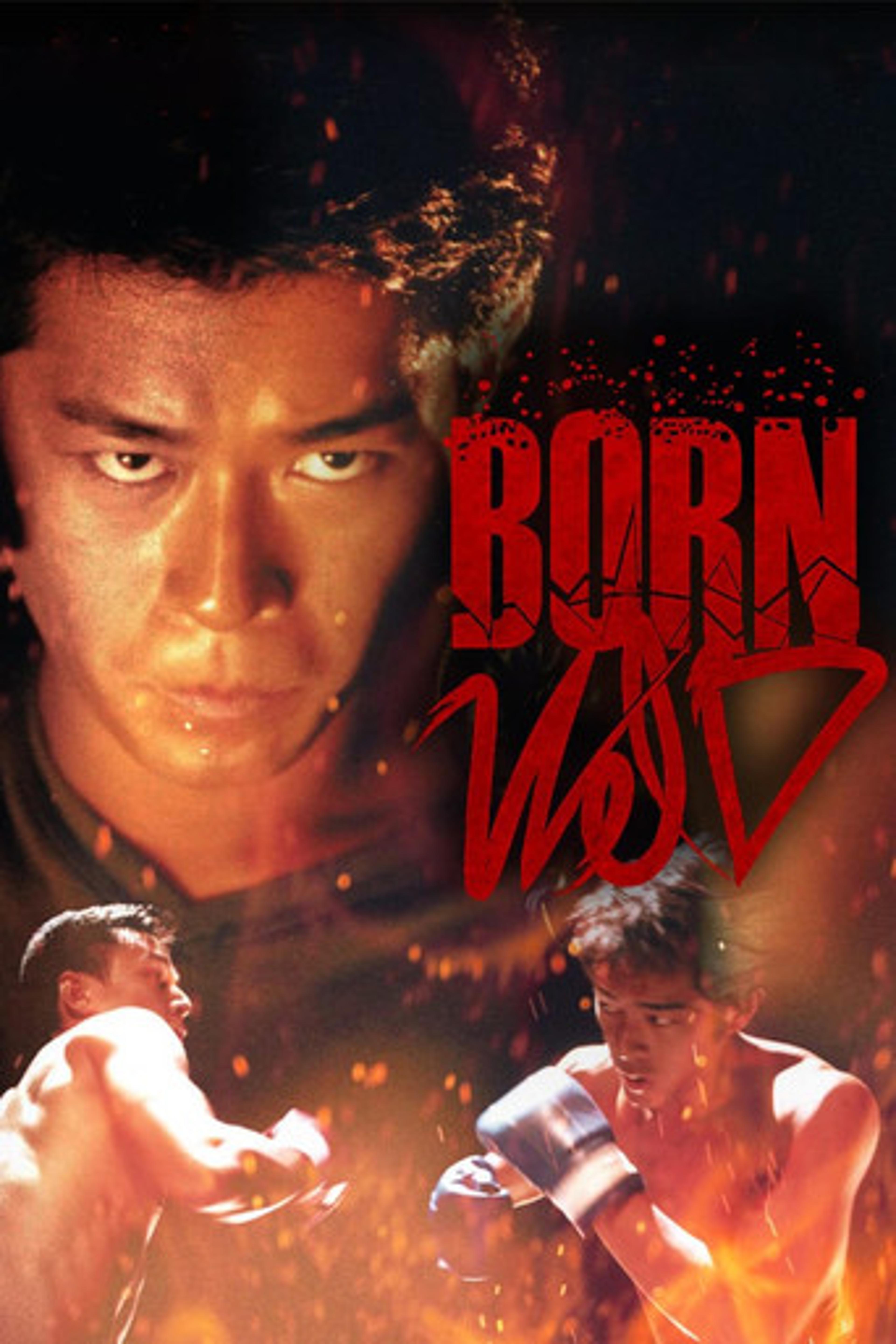 Poster film Born Wild