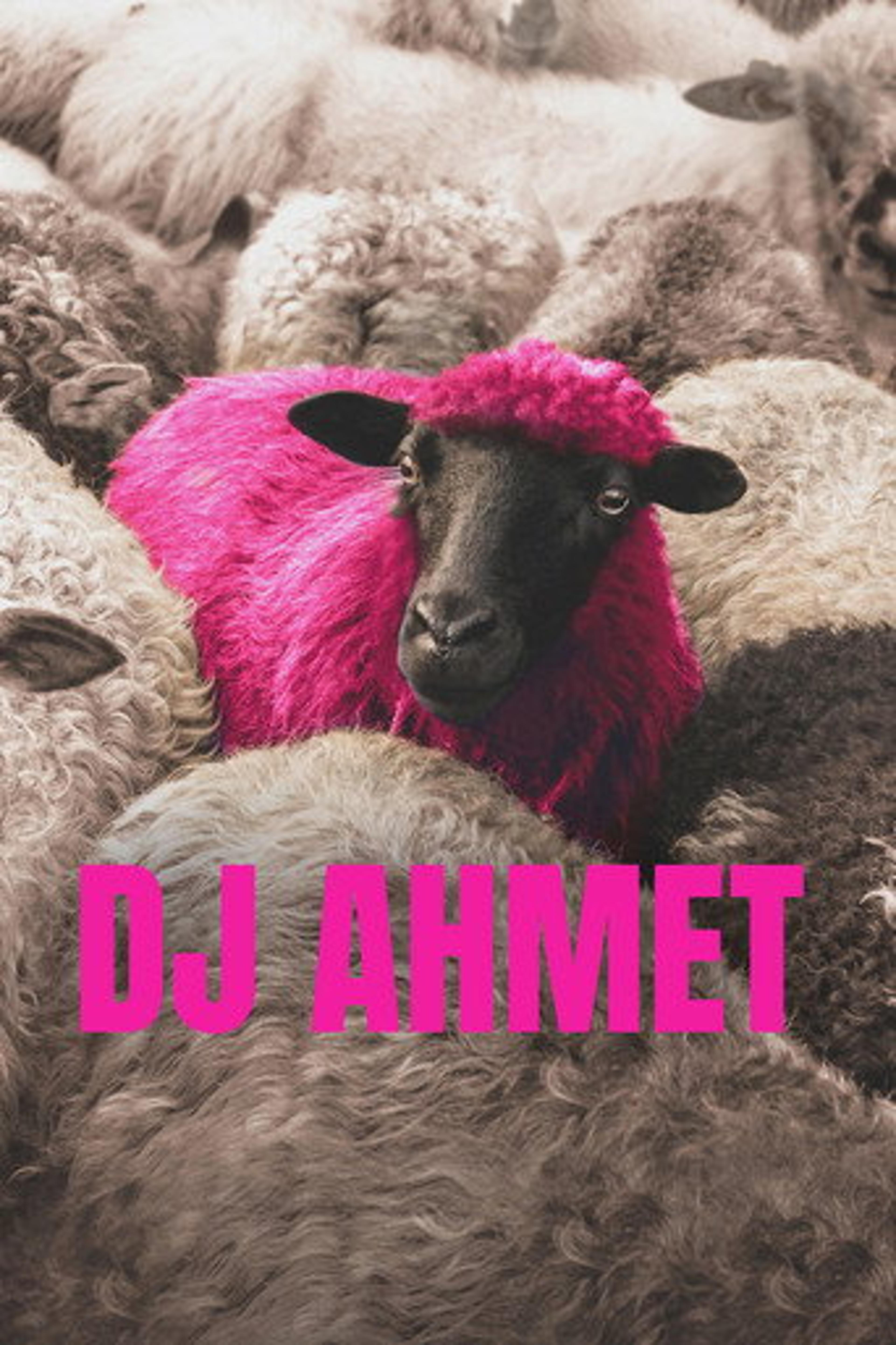 Poster film DJ Ahmet