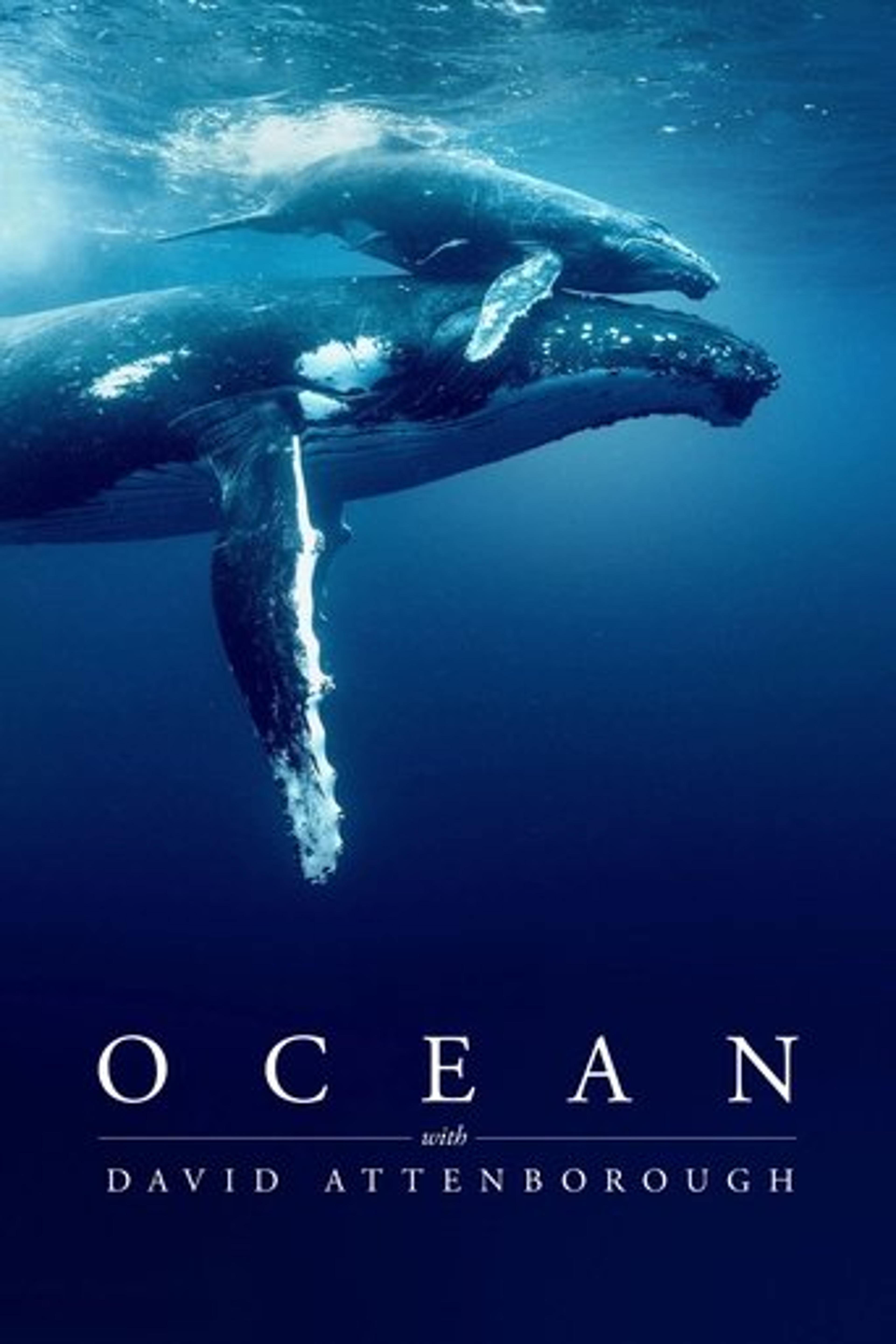 Poster film Ocean with David Attenborough