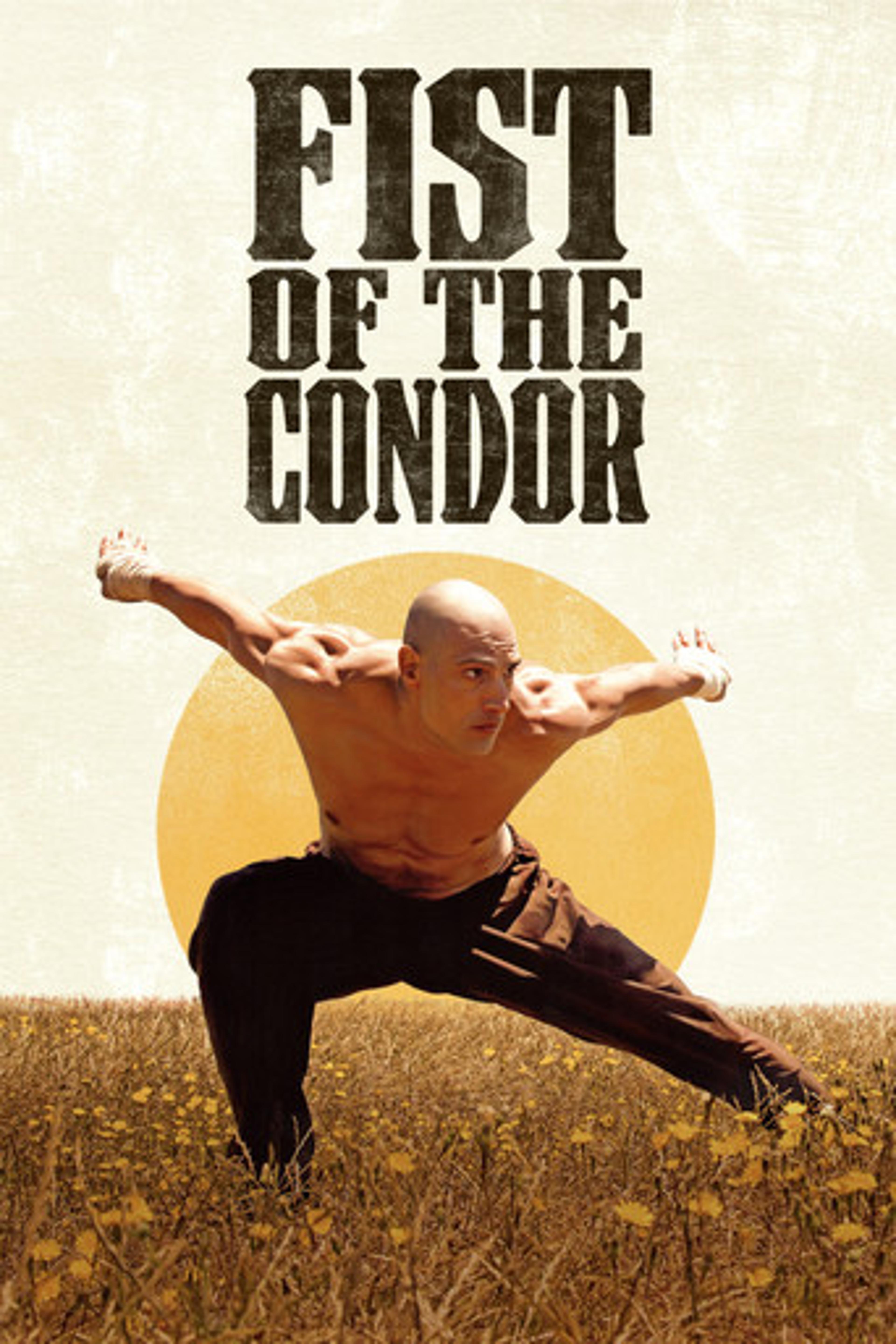 Poster film Fist of the Condor