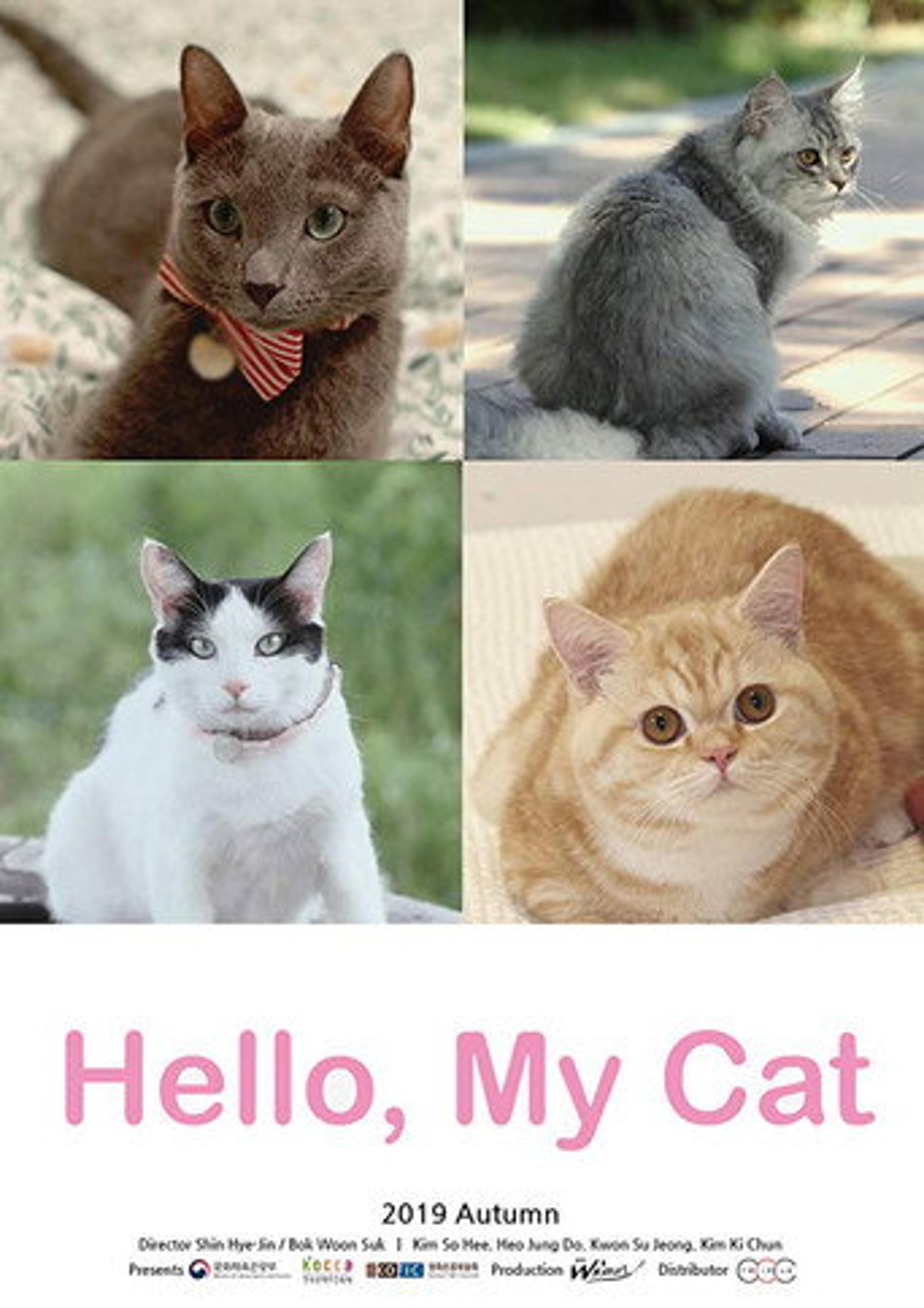 Poster film Hello, My Cat