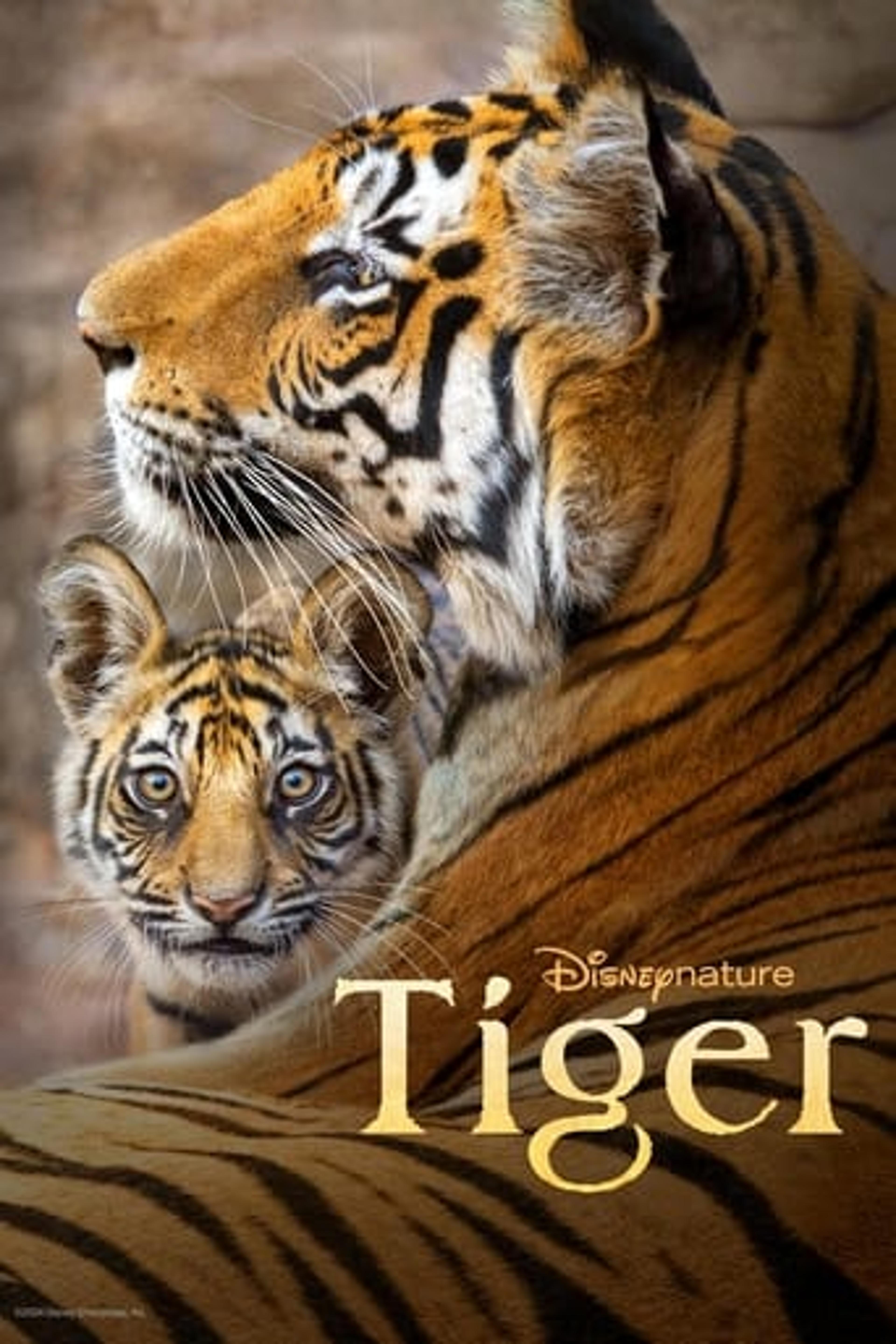 Poster film Tiger
