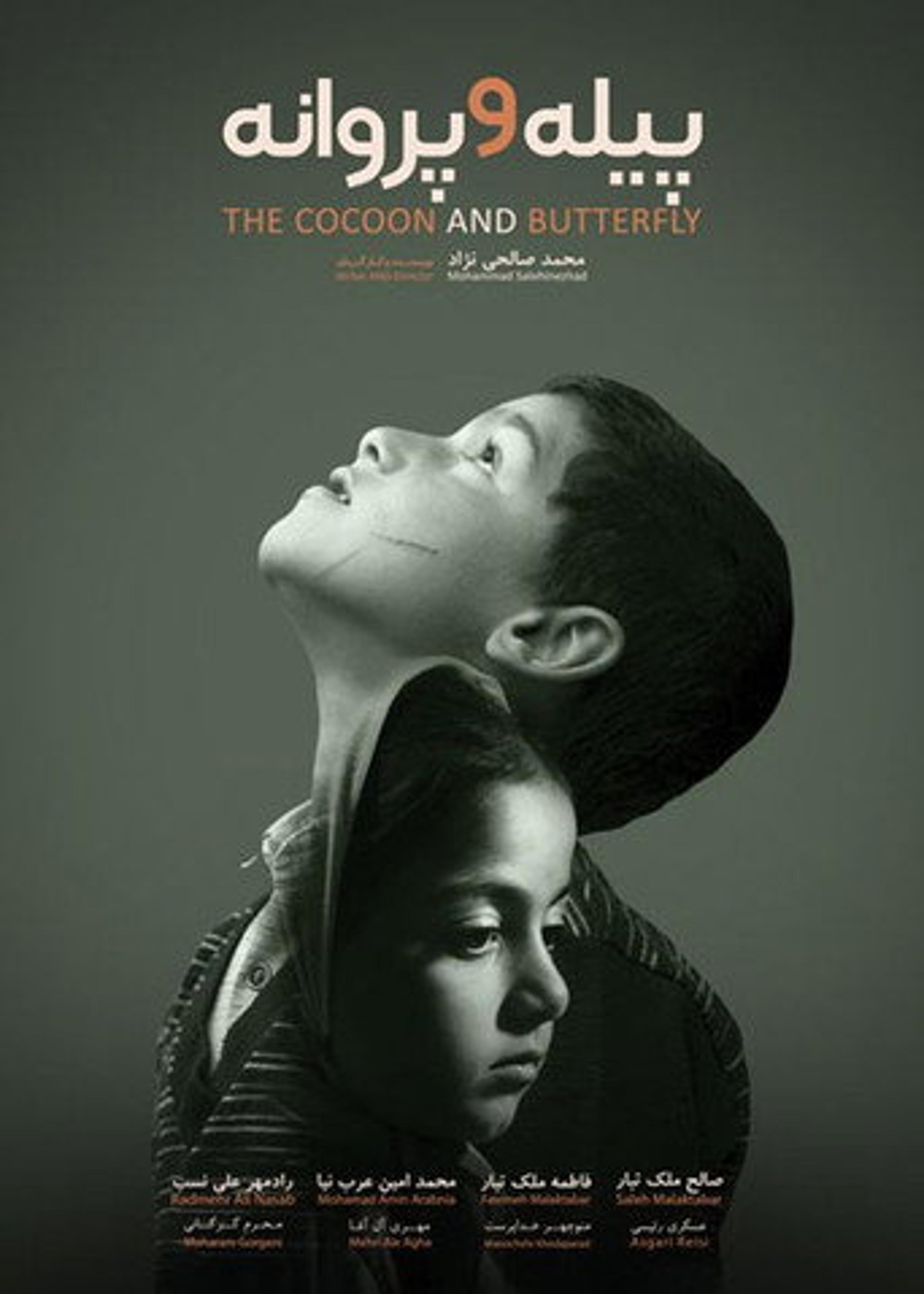 Poster film The Cocoon & Butterfly