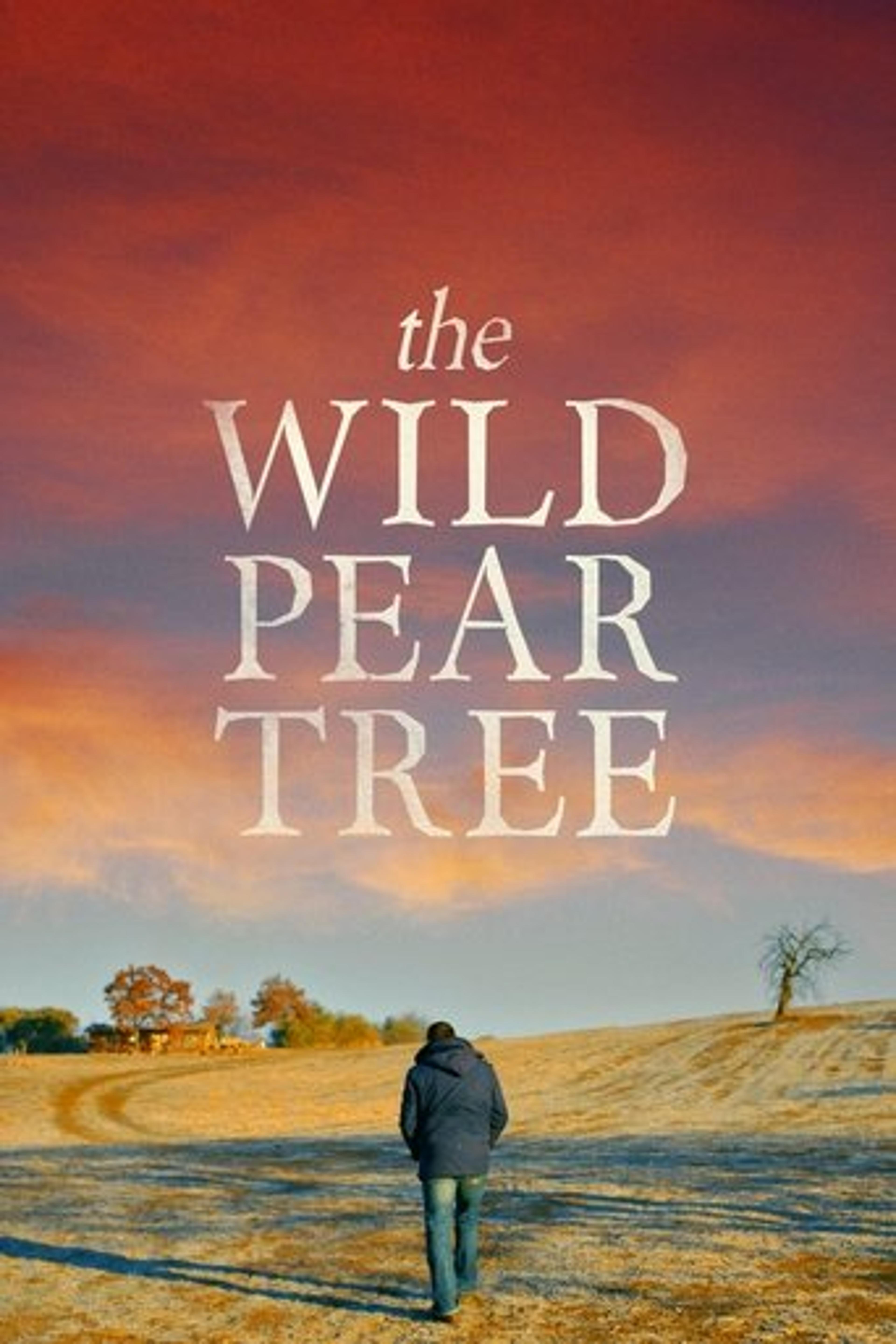 Poster film The Wild Pear Tree